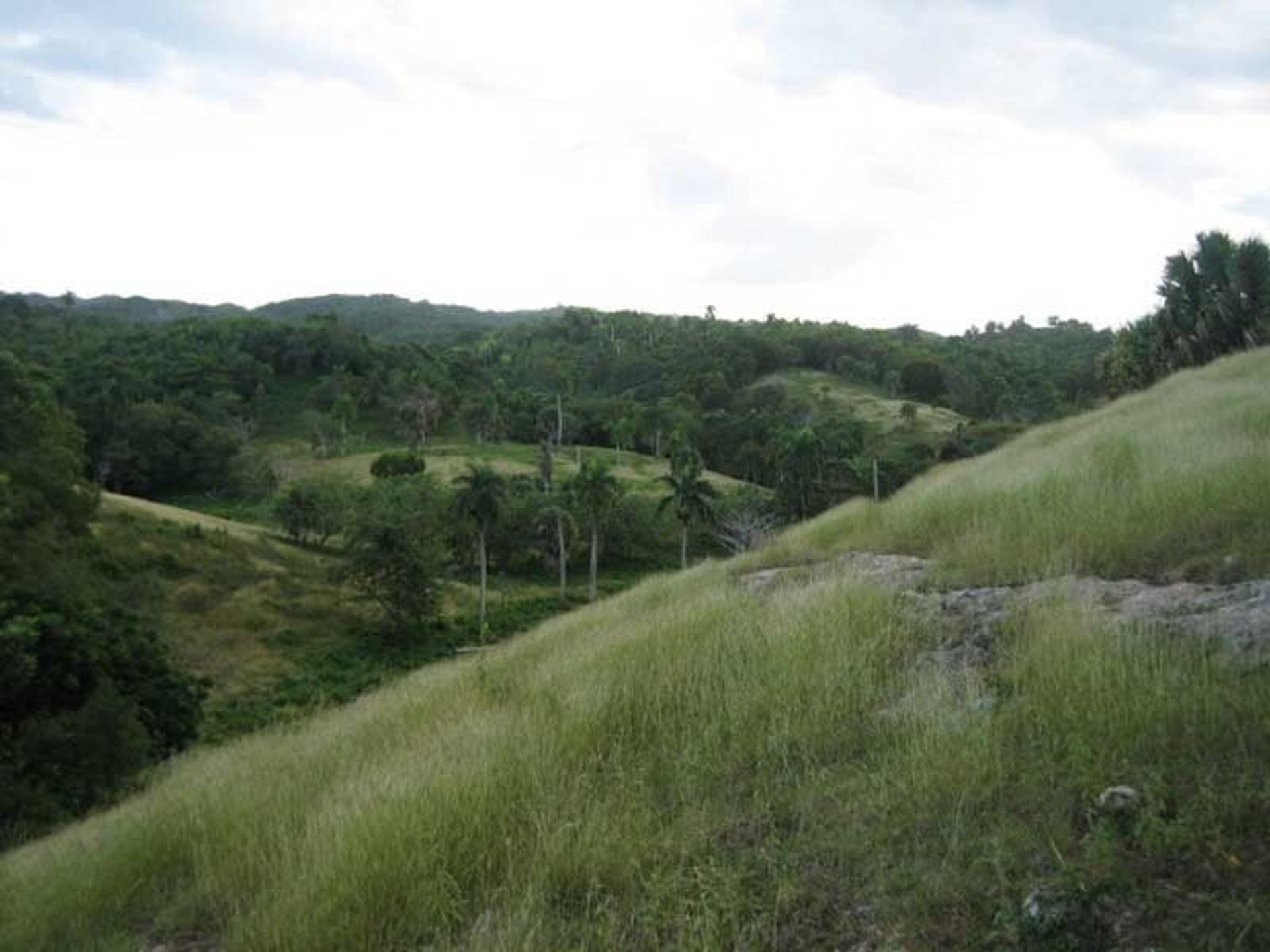 Land in Cañada Blanca, Valdesia 10120479