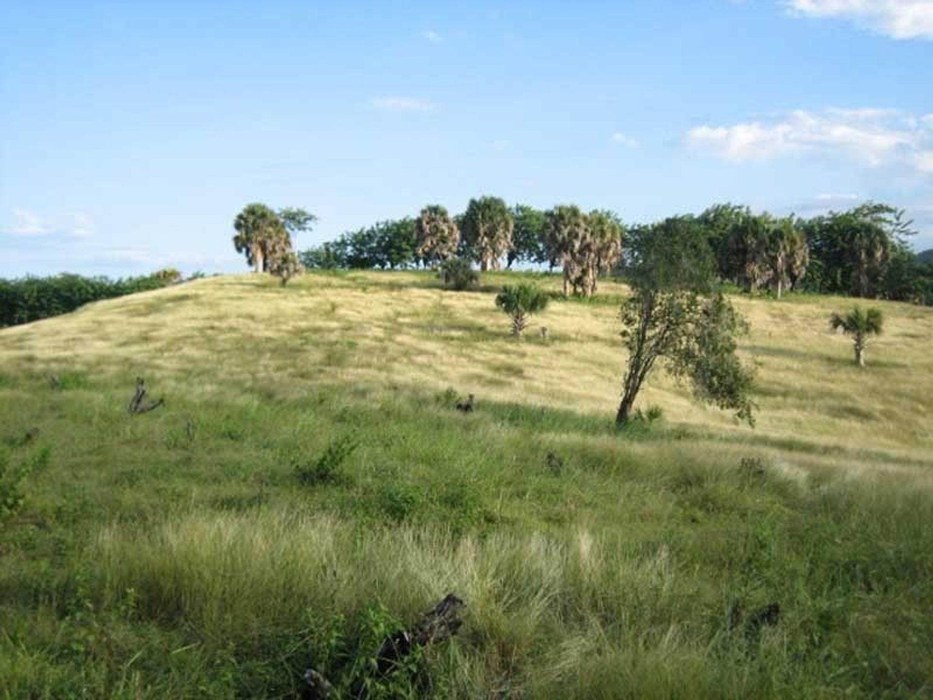 Tierra en Cañada Blanca, Valdesia 10120480