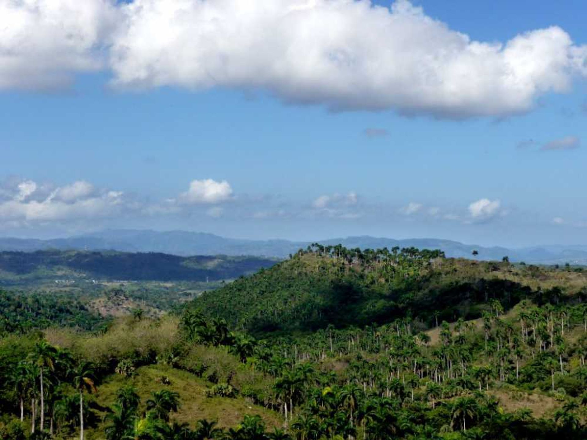 Tanah dalam Canada Blanca, Valdesia 10120485