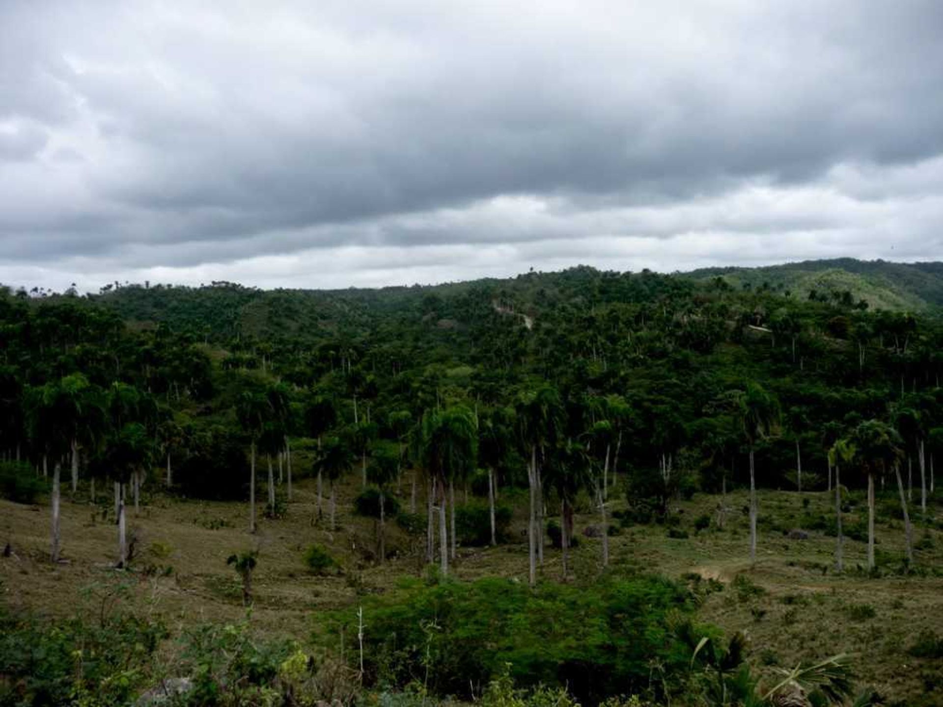 Tanah dalam Canada Blanca, Valdesia 10120485