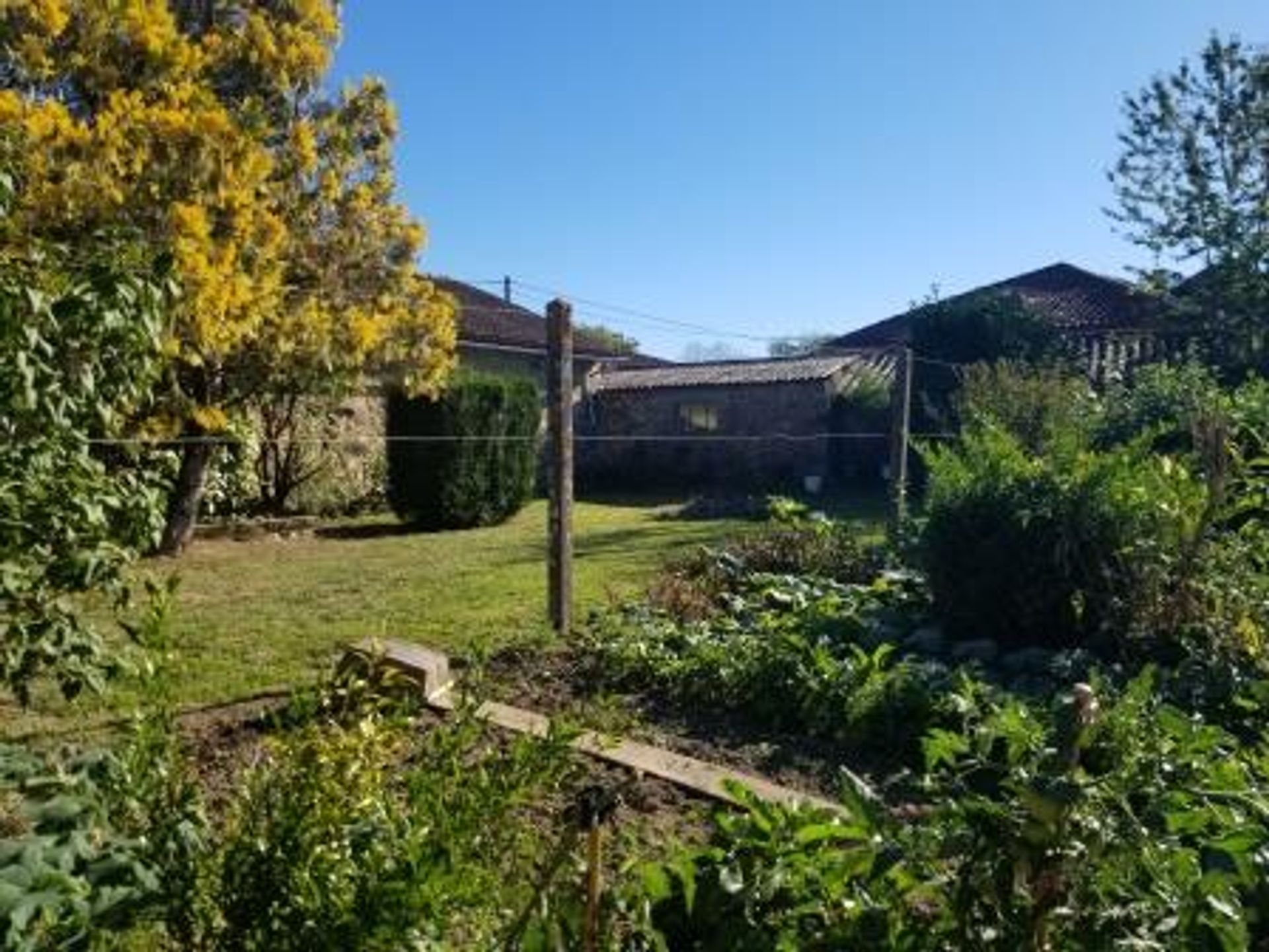 casa en Massignac, Nouvelle-Aquitaine 10120539