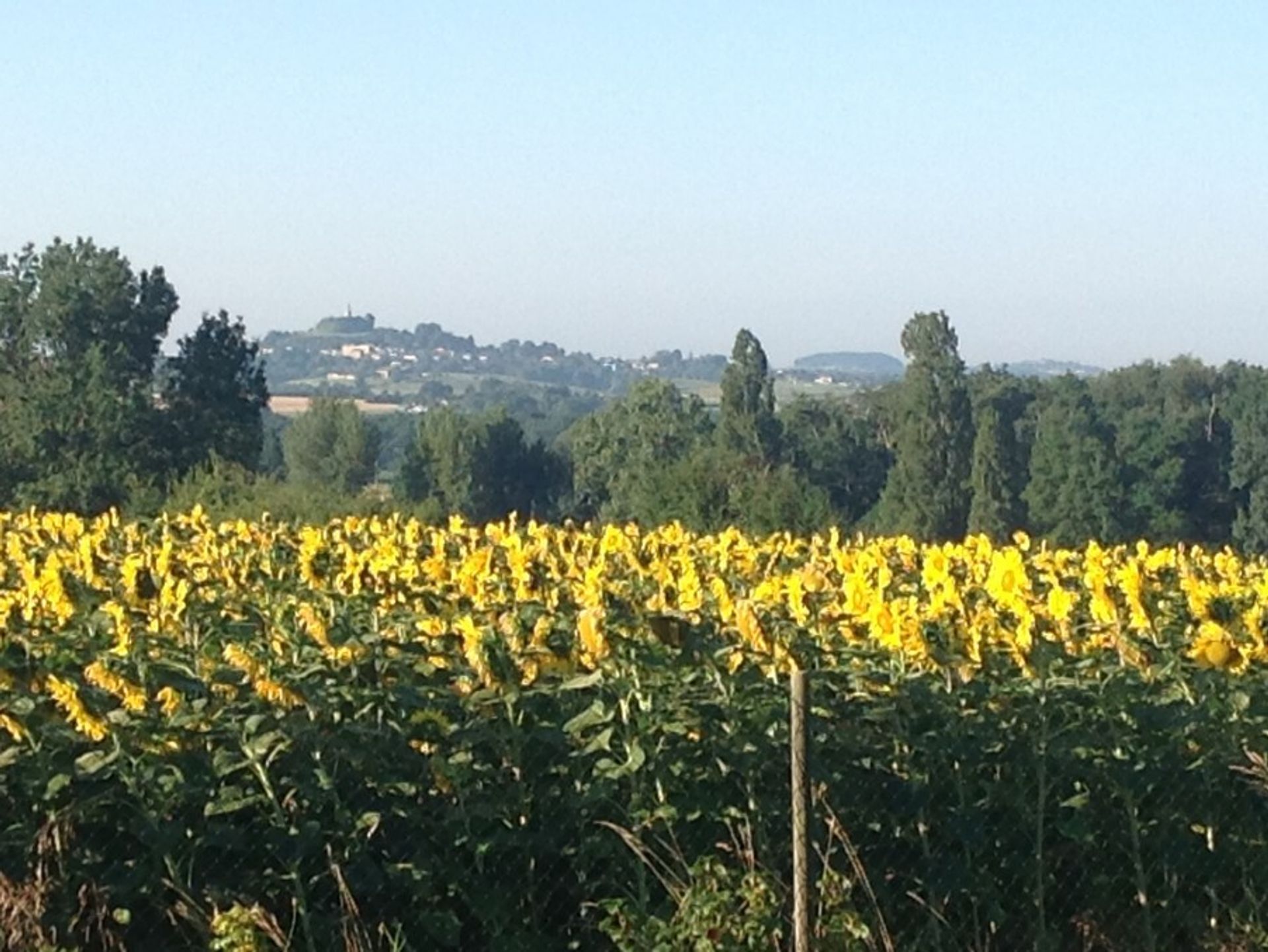 房子 在 Ségalas, Nouvelle-Aquitaine 10120674