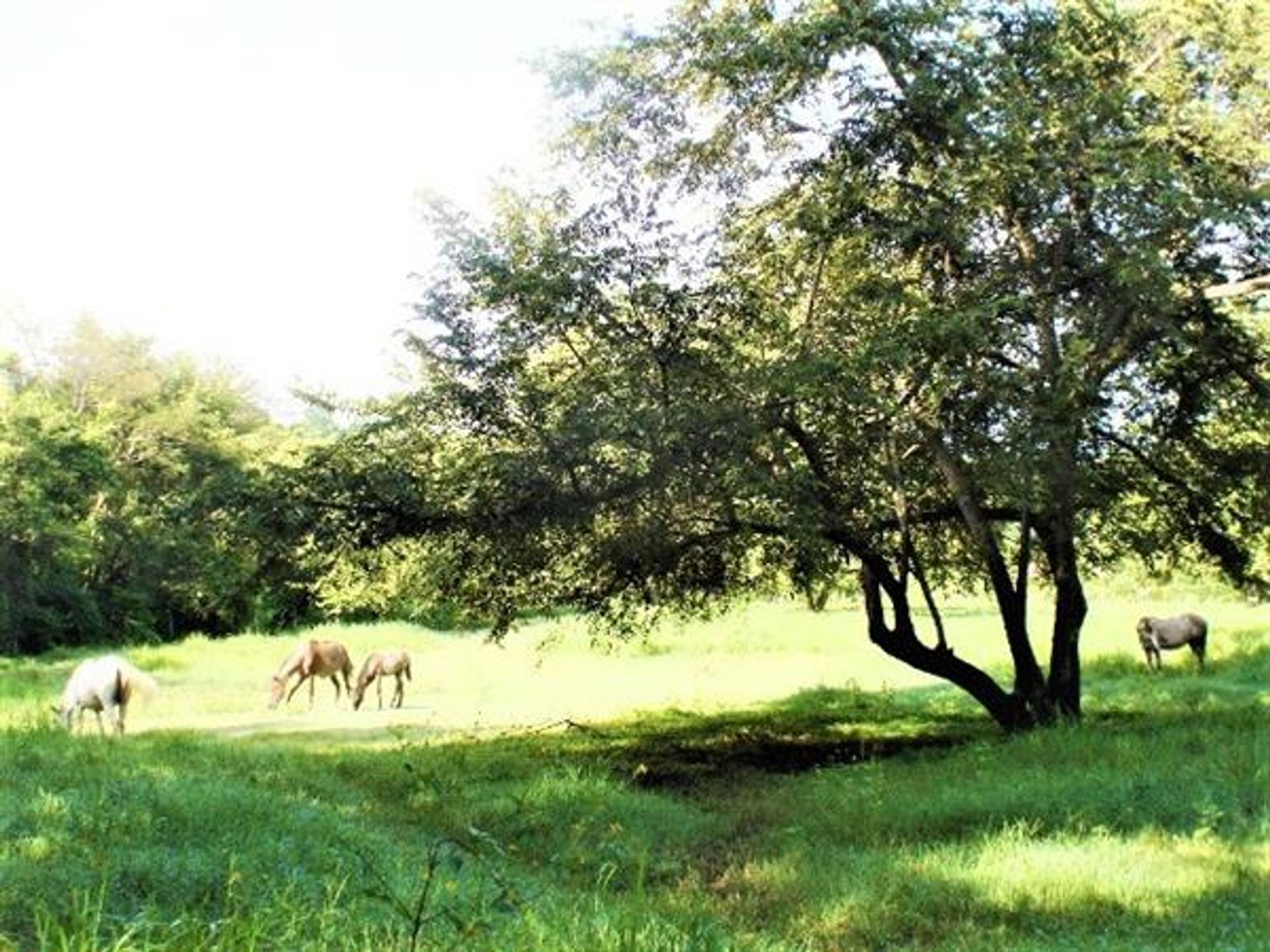 σπίτι σε , Guanacaste Province 10120770