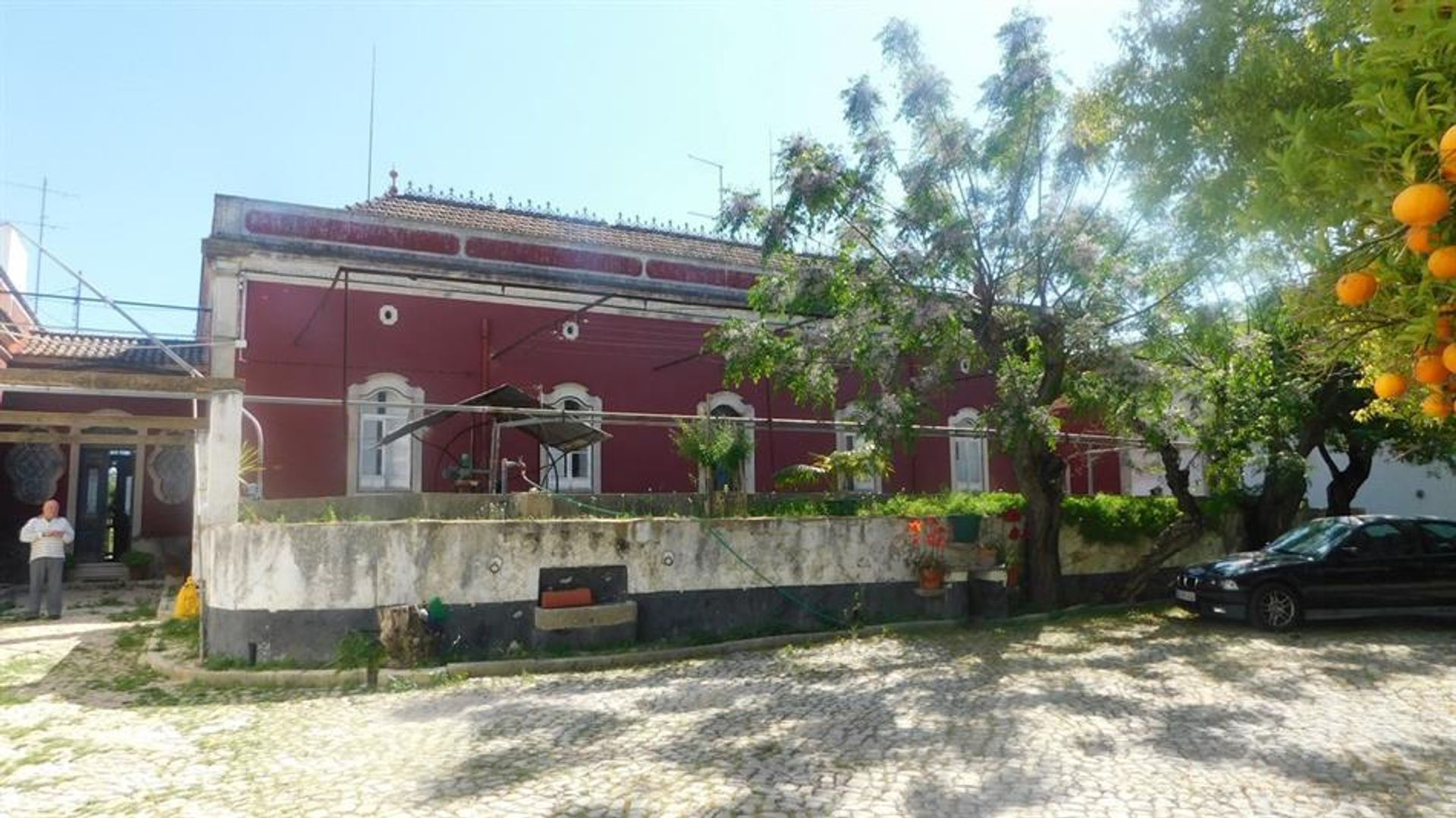 Outro no Rossio ao Sul do Tejo, Santarém 10120817