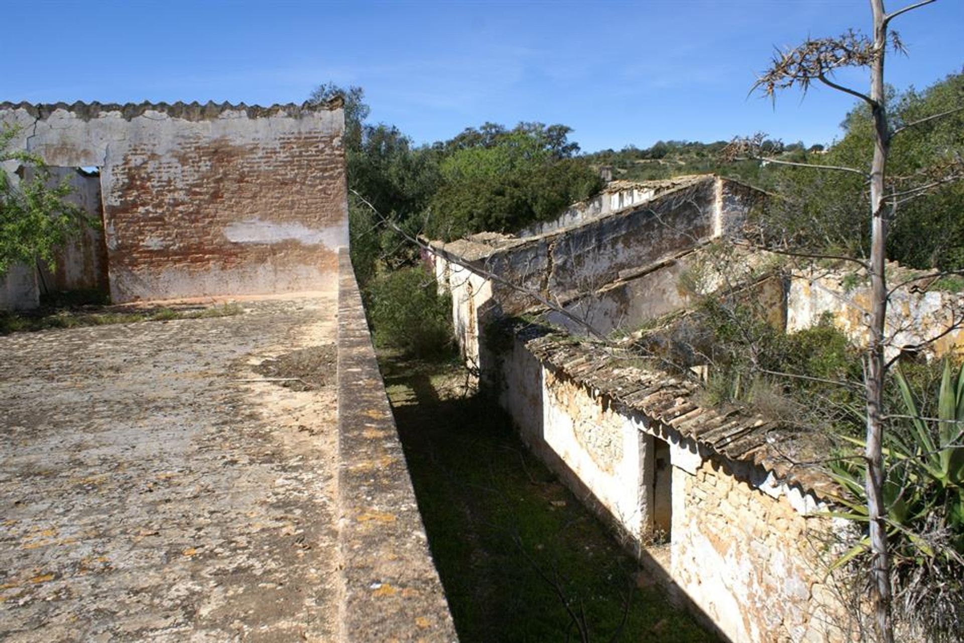 Wylądować w Rossio ao Sul do Tejo, Santarem 10120917