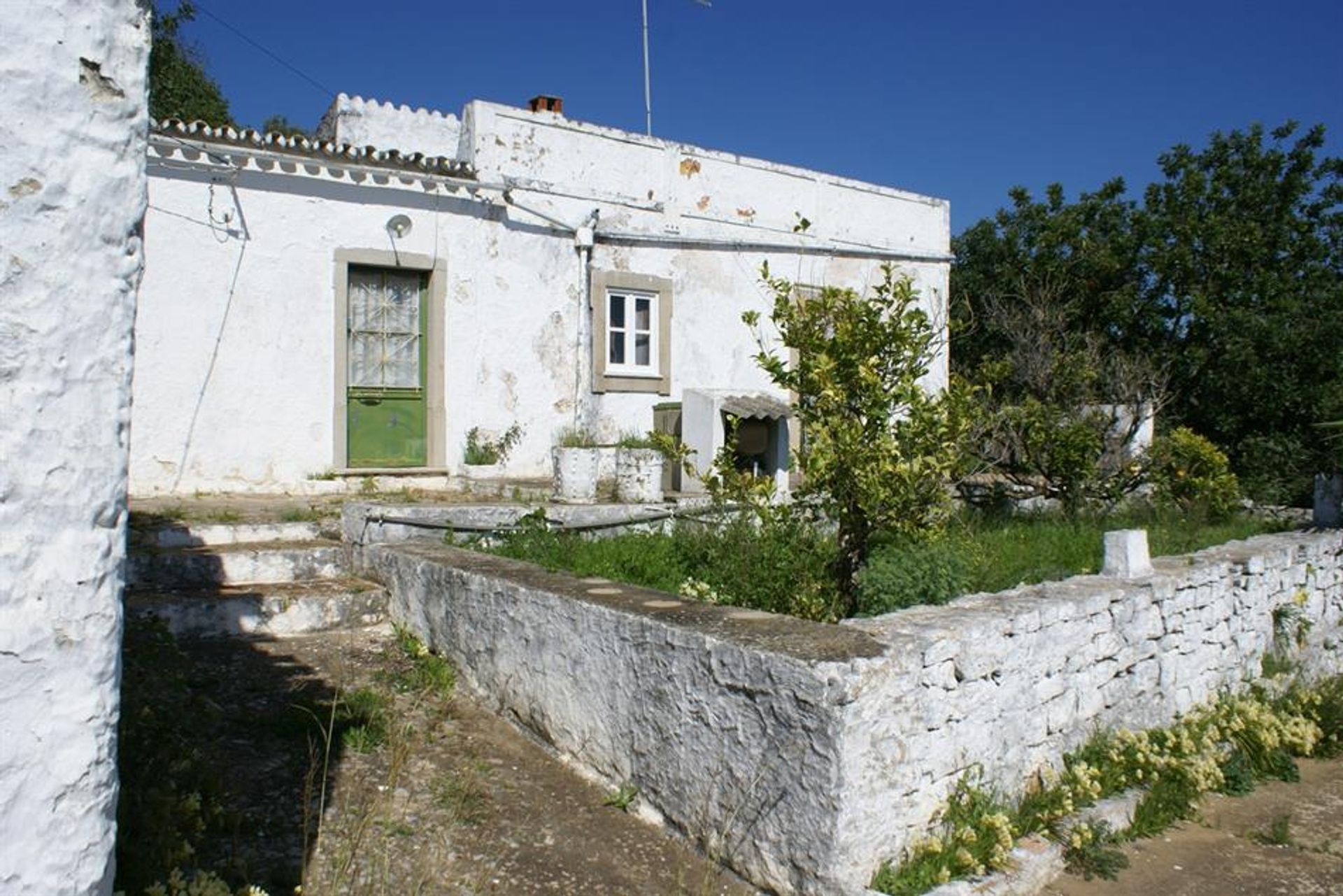 Land im Rossio ao Sul do Tejo, Santarem 10120933