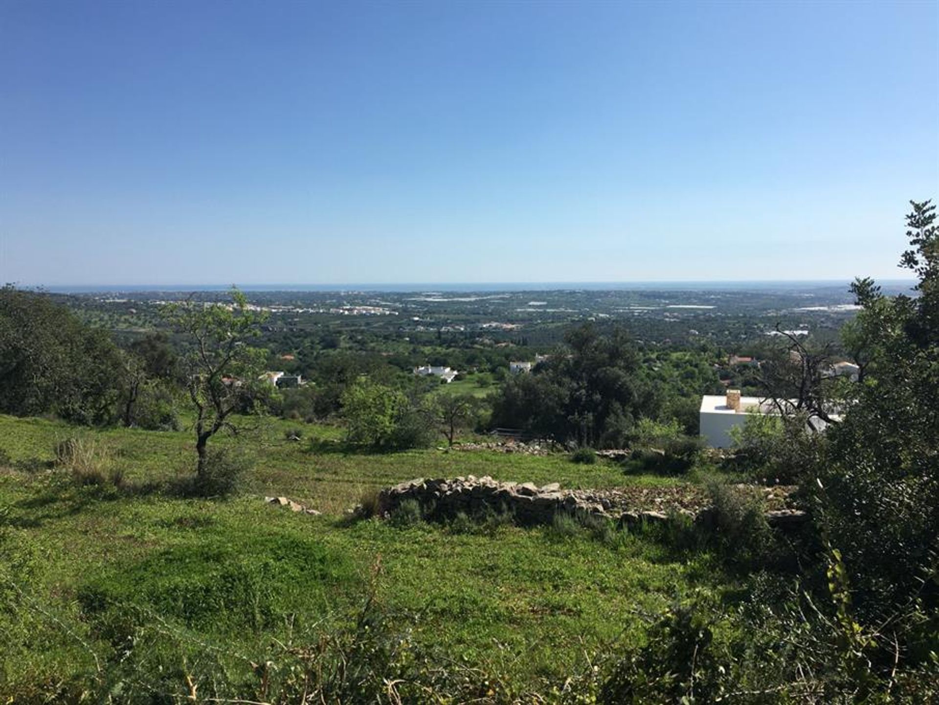 Tierra en Rossio del Sur del Tajo, Santarém 10120933