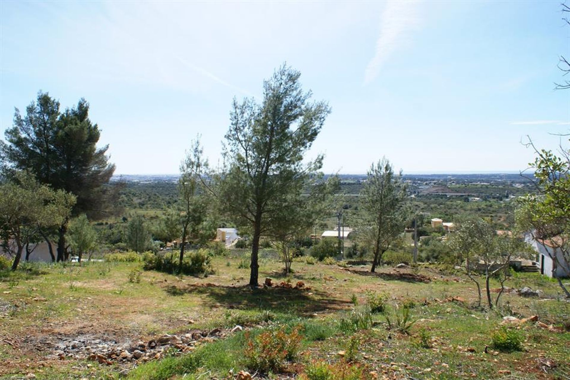 Tierra en Rossio del Sur del Tajo, Santarém 10120953