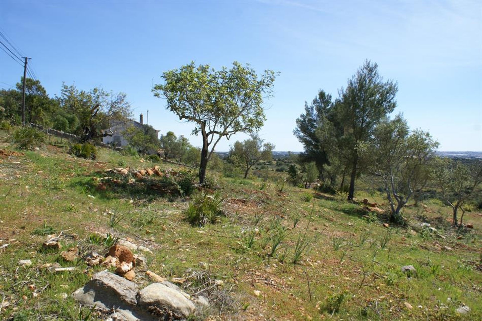 Tierra en Rossio del Sur del Tajo, Santarém 10120953