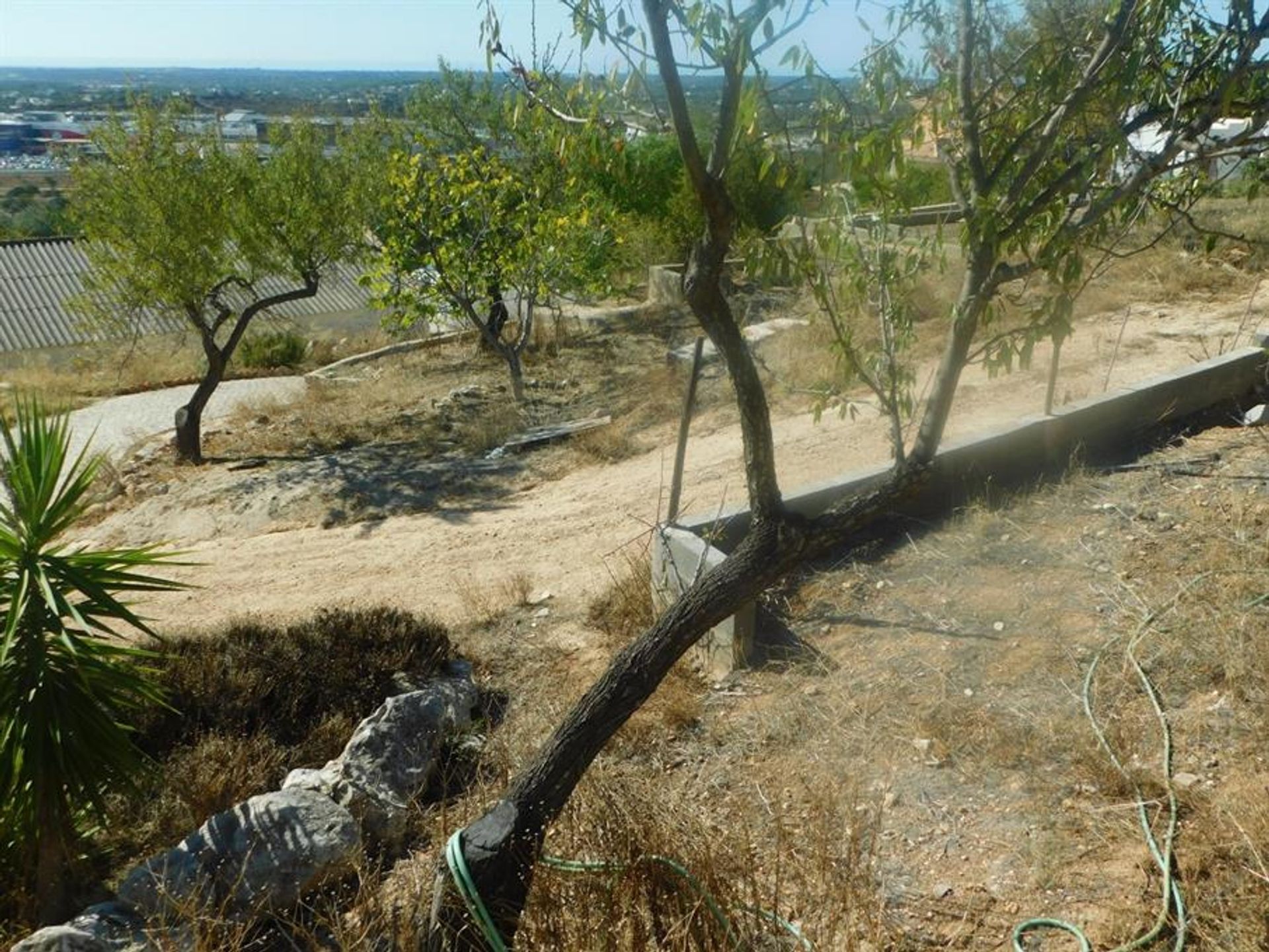 Wylądować w Rossio ao Sul do Tejo, Santarem 10120982