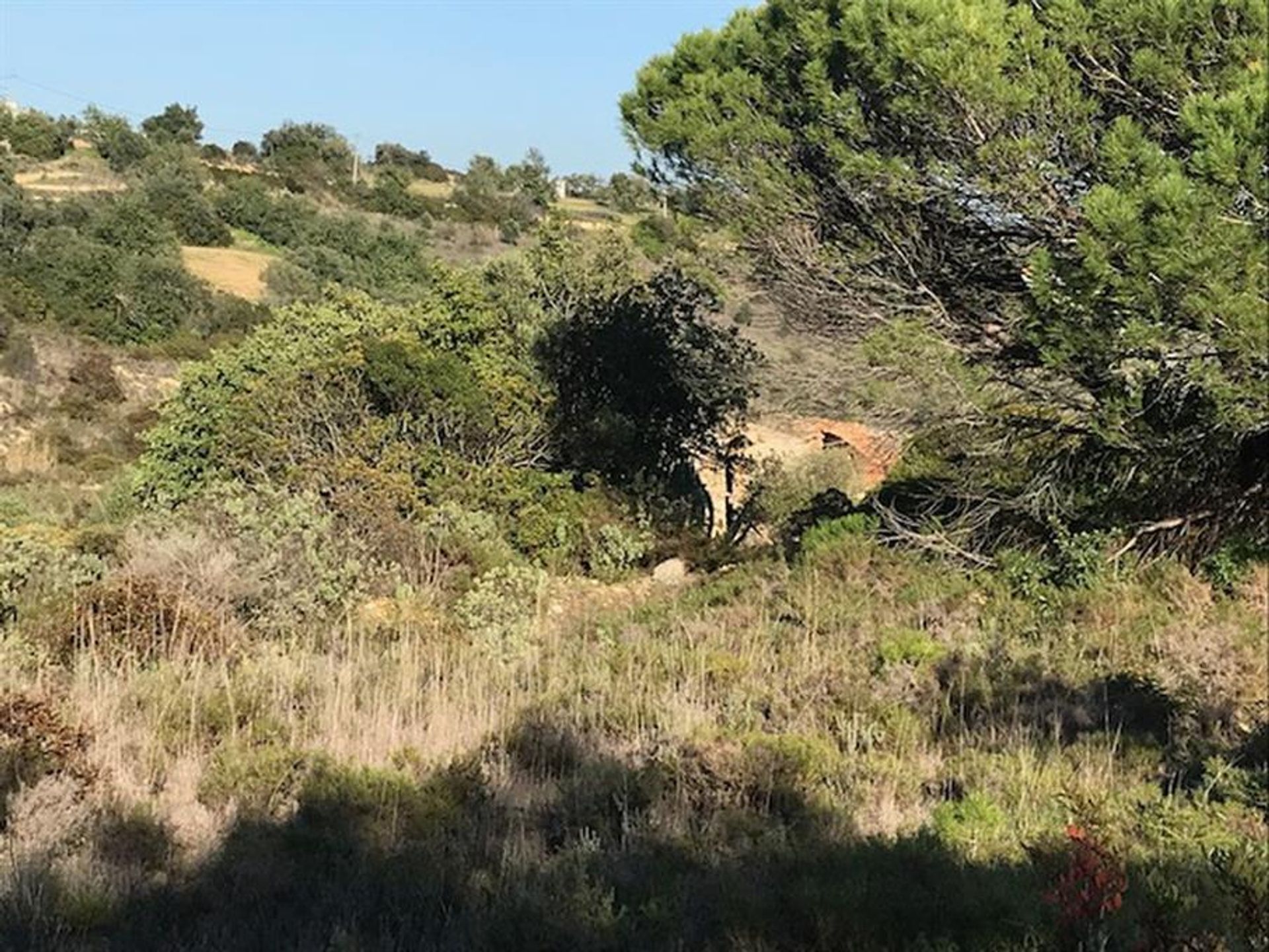 Tierra en Rossio del Sur del Tajo, Santarém 10121011