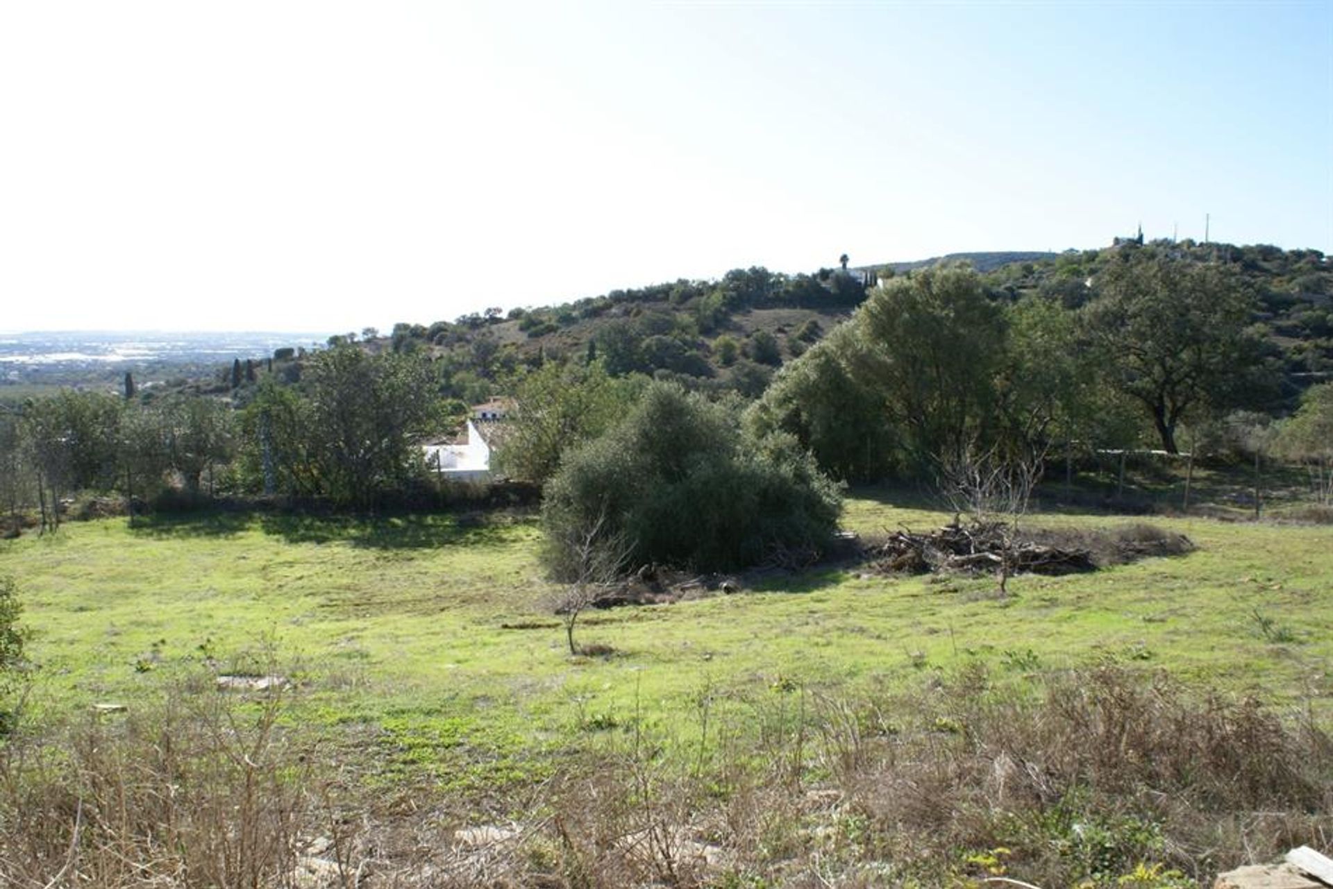 ארץ ב Rossio ao Sul do Tejo, סנטארם 10121012