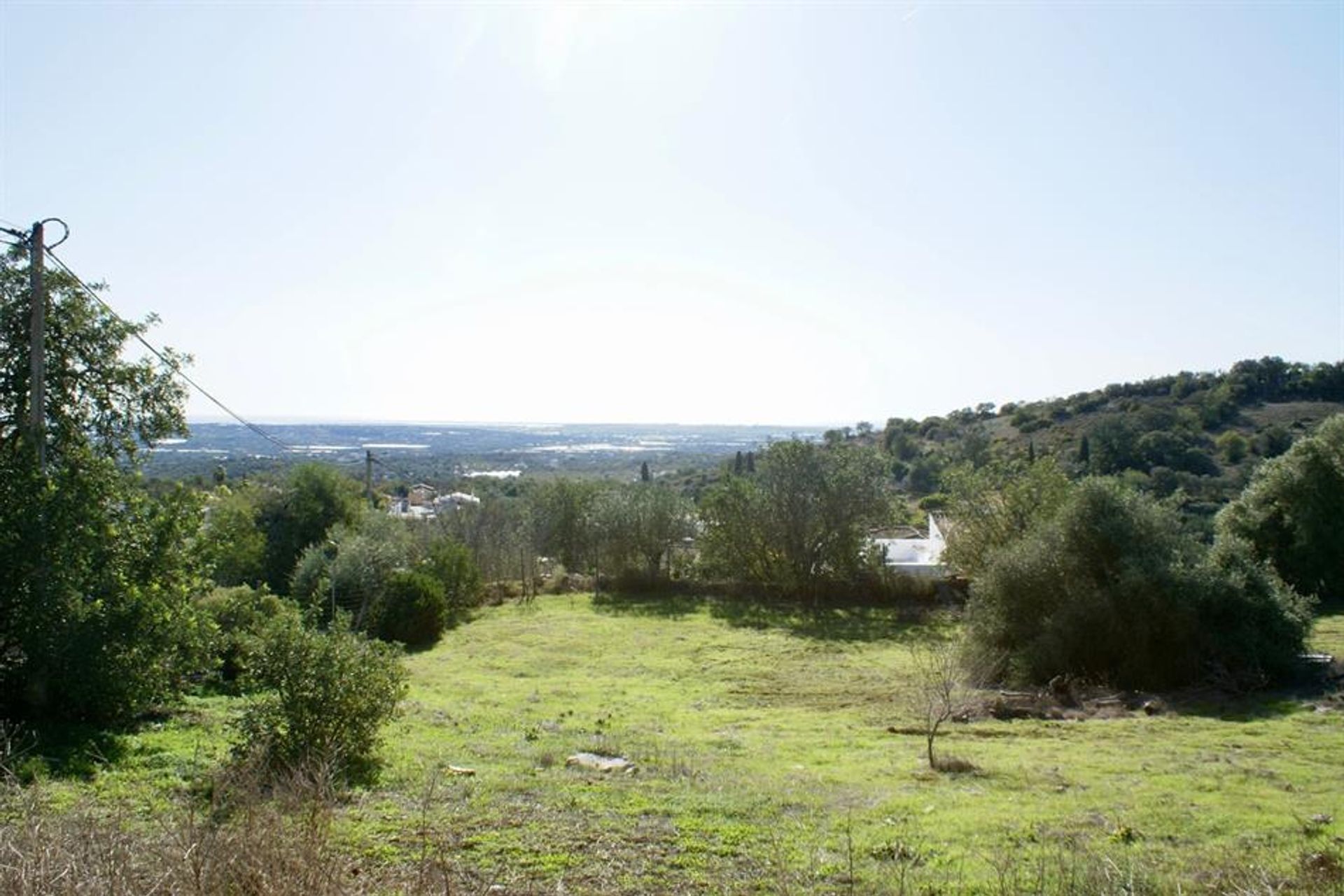 Land im Rossio ao Sul do Tejo, Santarem 10121012