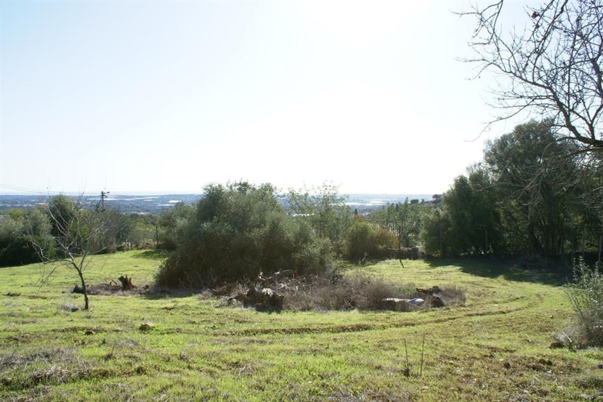 Tierra en Rossio del Sur del Tajo, Santarém 10121012