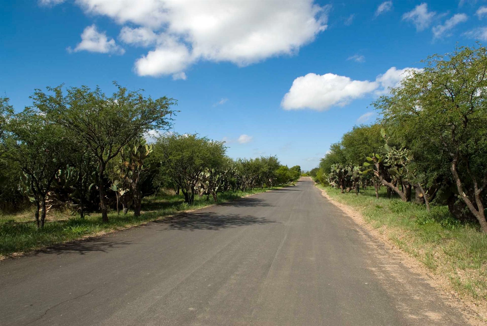 Osakehuoneisto sisään El Vivero, Zacatecas 10121151