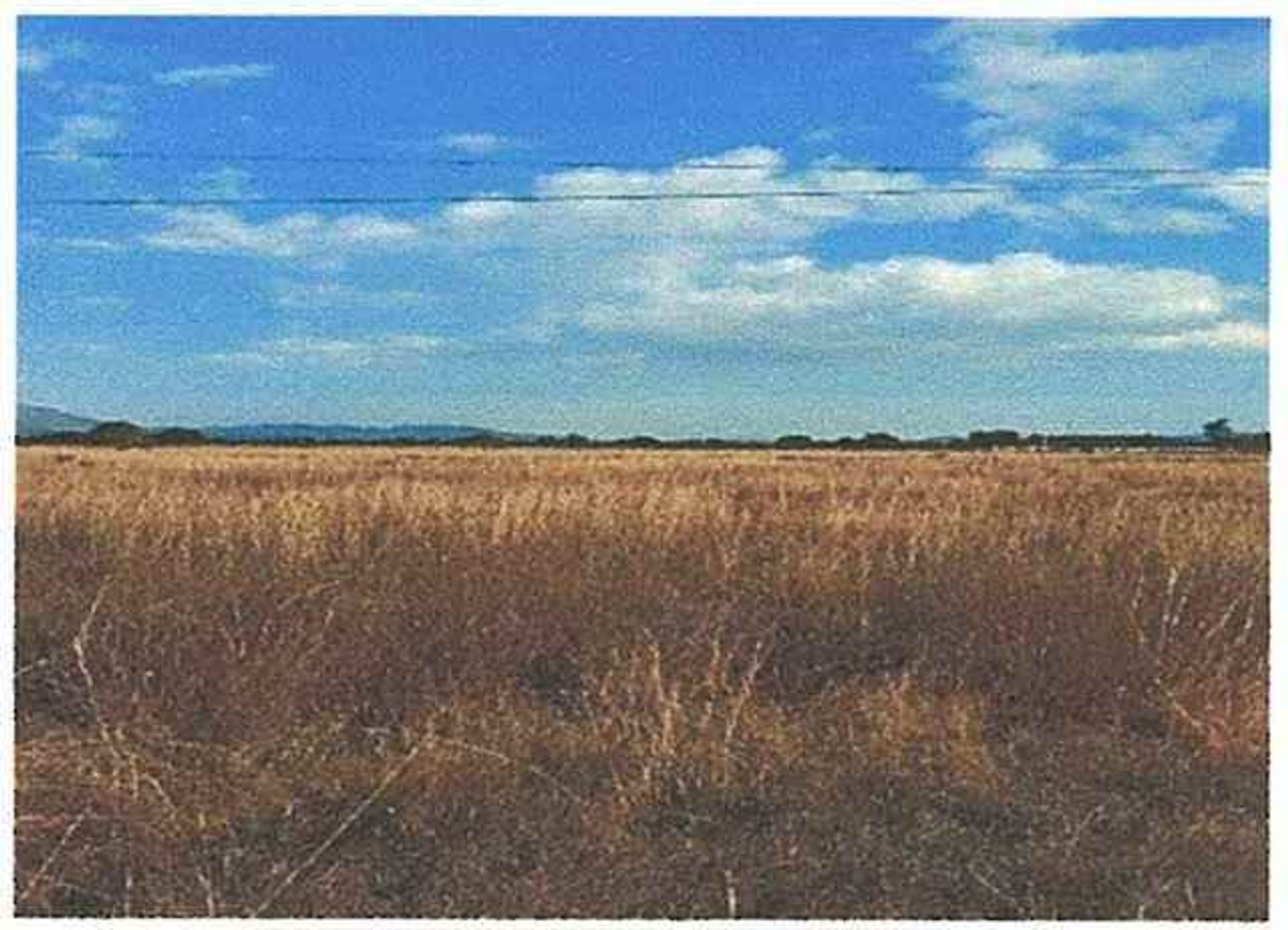 Terre dans Le Vivero, Zacatecas 10121169