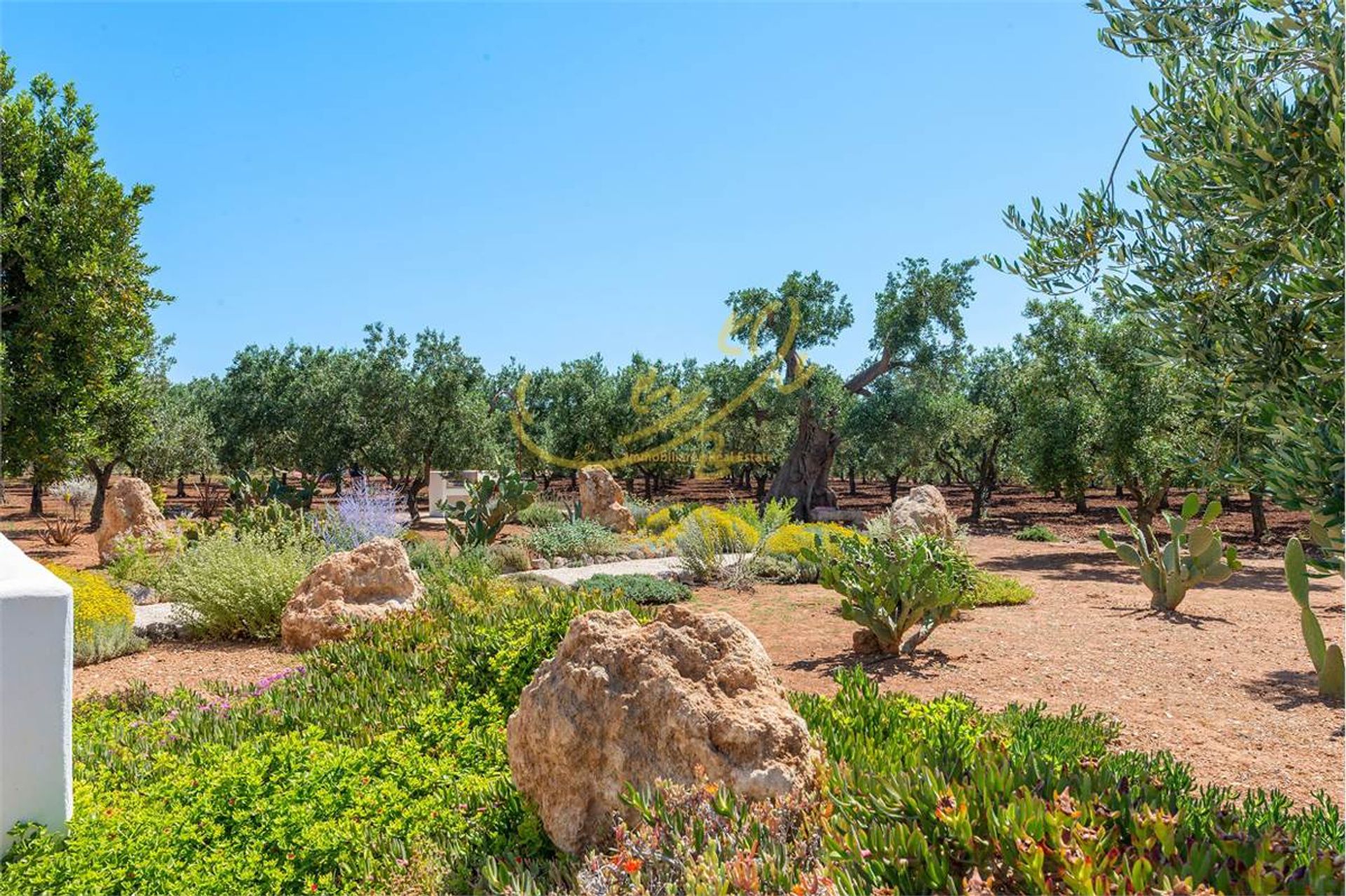 casa en Fasano, Apulia 10121854