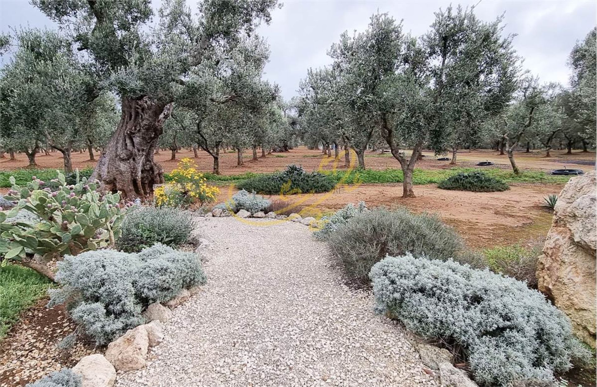 σπίτι σε Fasano, Apulia 10121854