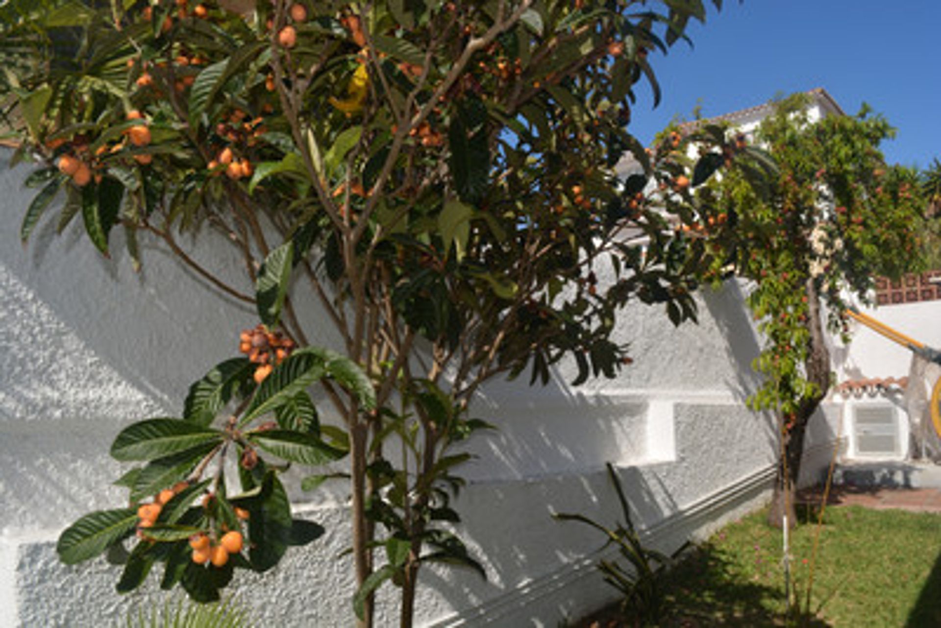 Rumah di Puerto de la Duquesa, Andalusia 10122411