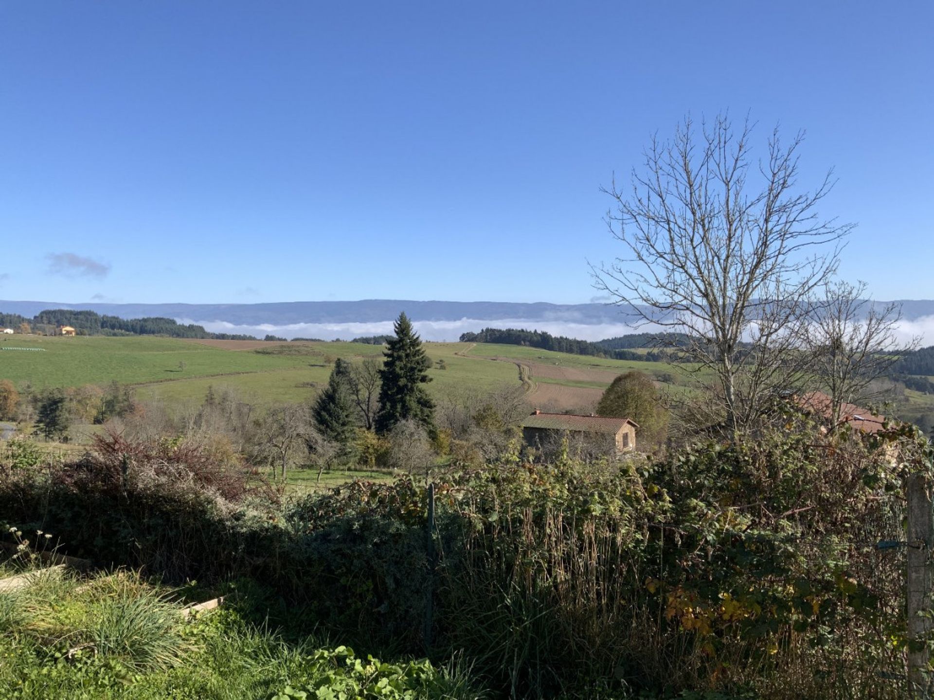 Otro en Marsac-en-Livradois, Auvergne-Rhône-Alpes 10124382