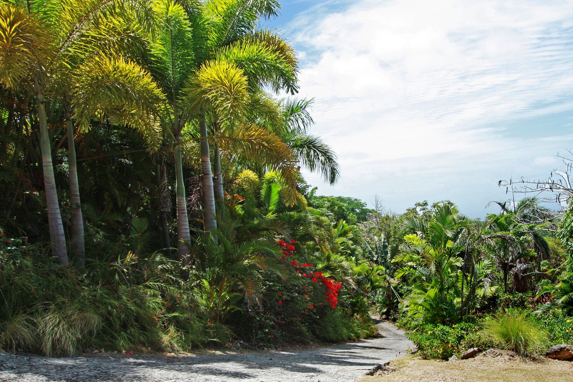 Tierra en Nevis, Saint George Gingerland Parish 10124509