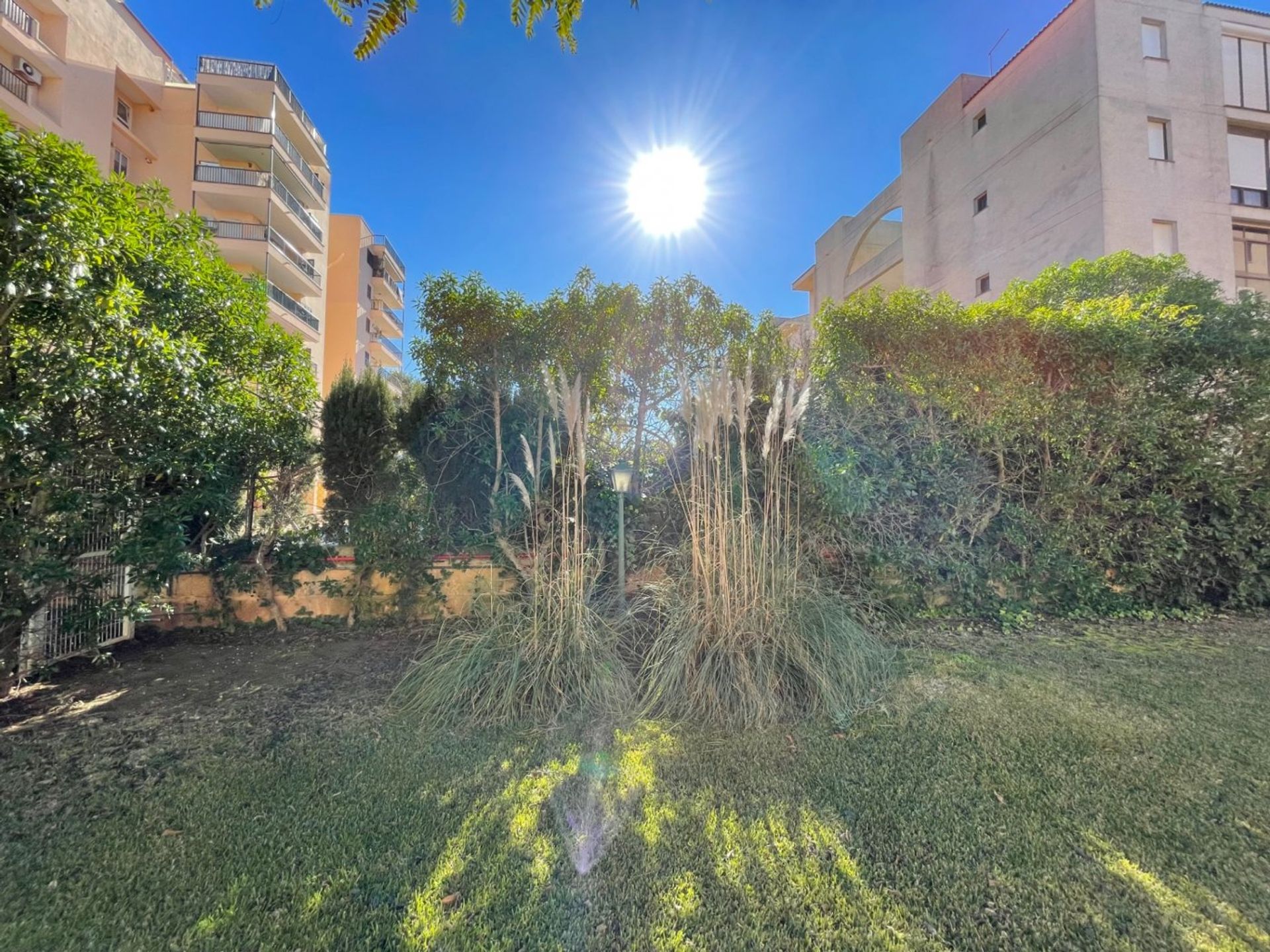 Condominium dans Palma, Illes Balears 10124519