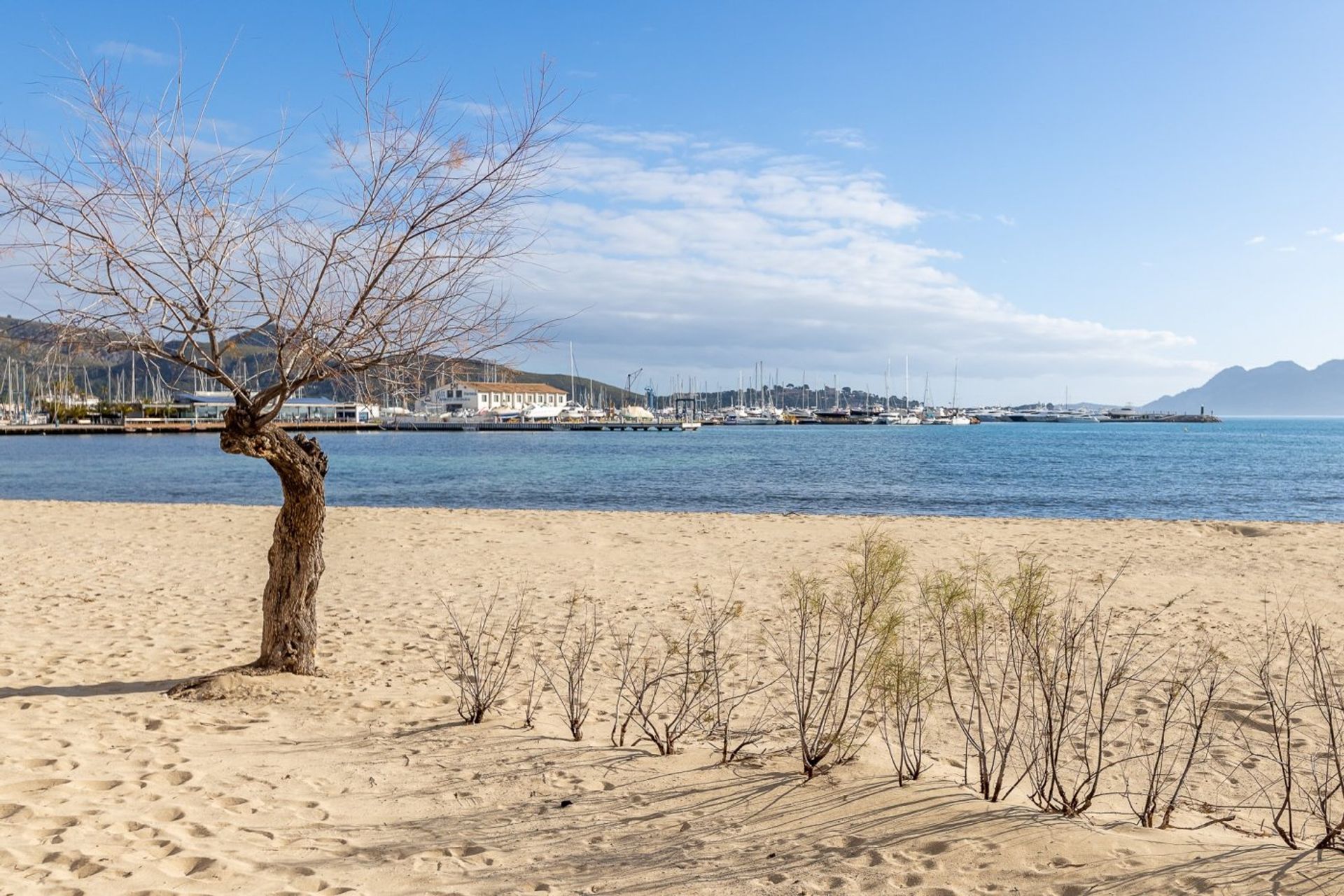 집 에 Pollença, Illes Balears 10124553