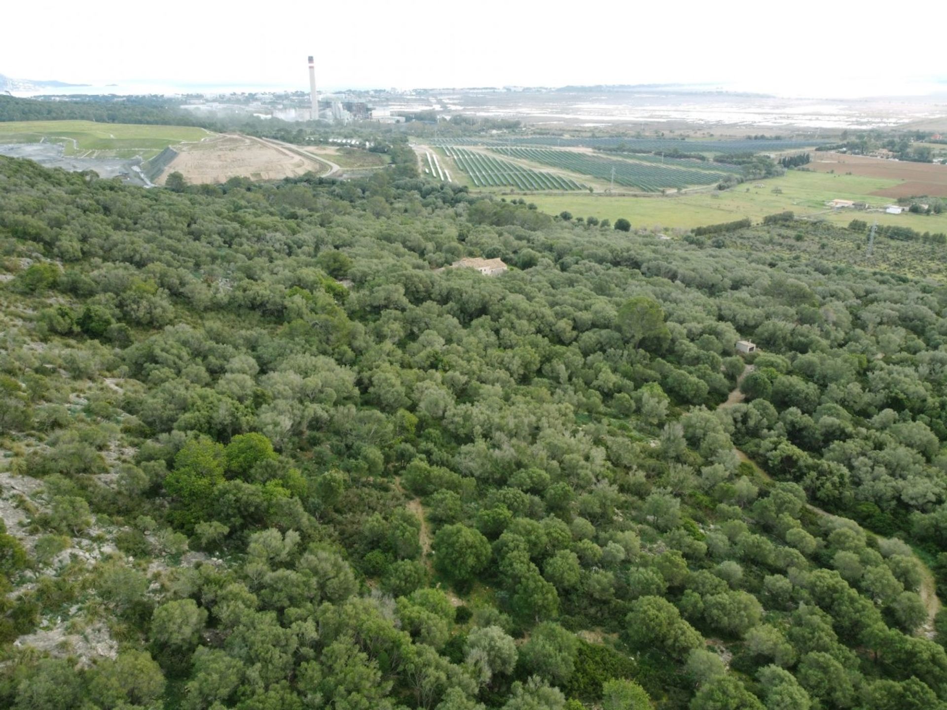 Eigentumswohnung im Alcúdia, Illes Balears 10124563