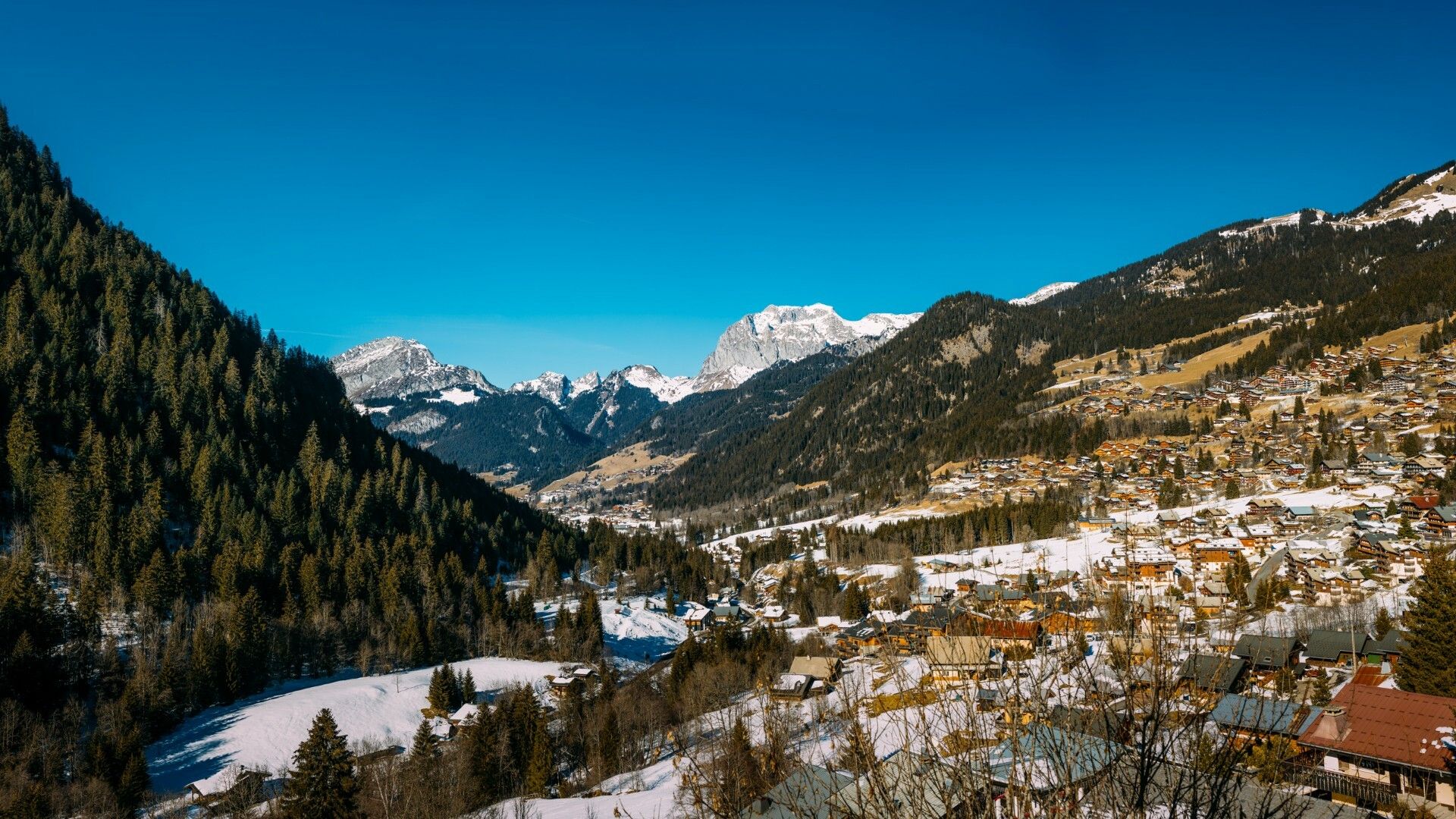 Condominium in Châtel, Auvergne-Rhône-Alpes 10124659