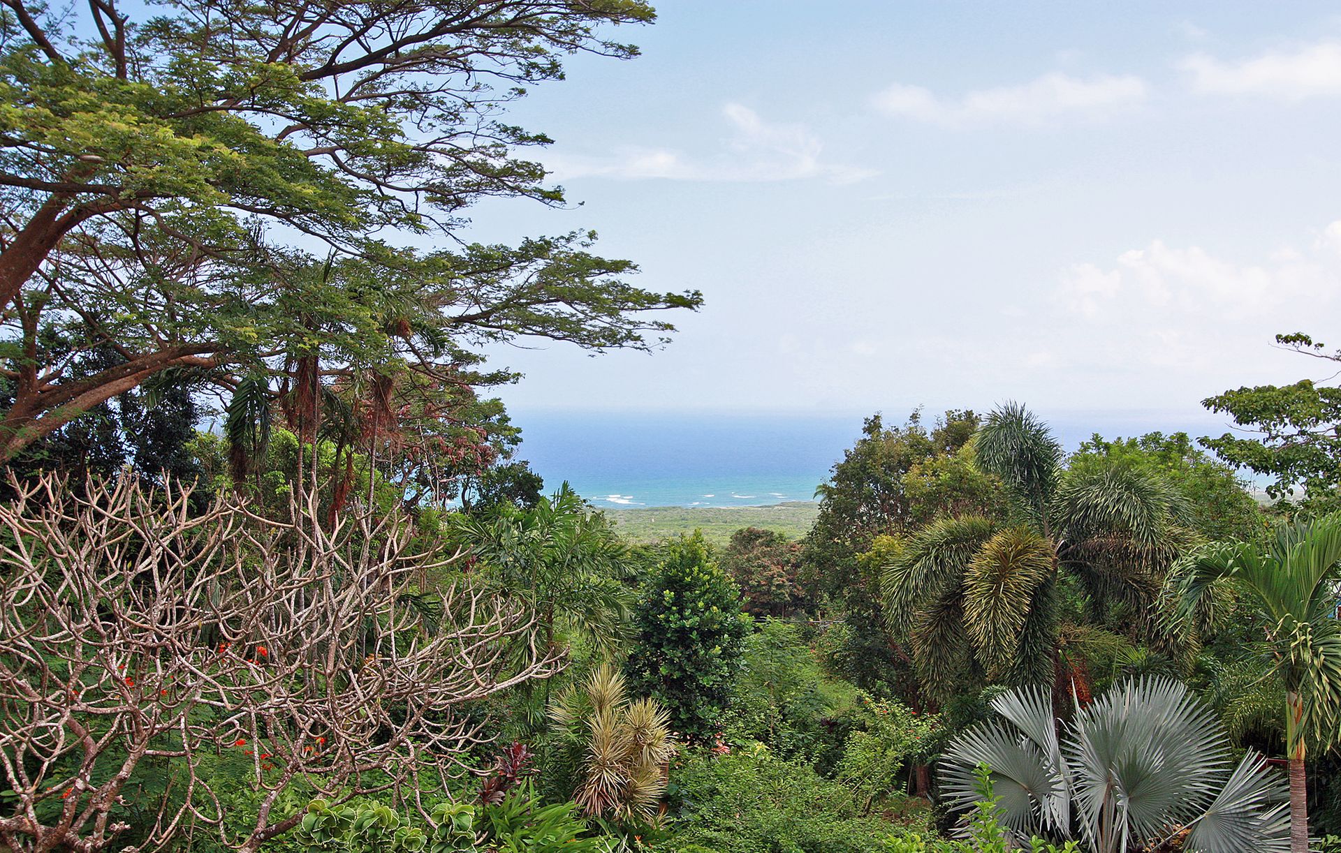 Ejerlejlighed i Nevis, Saint George Gingerland Parish 10124826