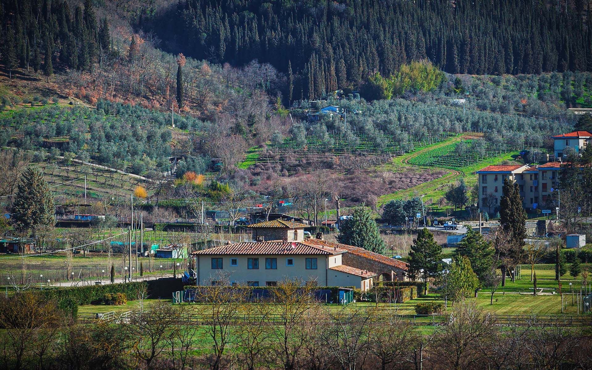 אַחֵר ב , Toscana 10125278