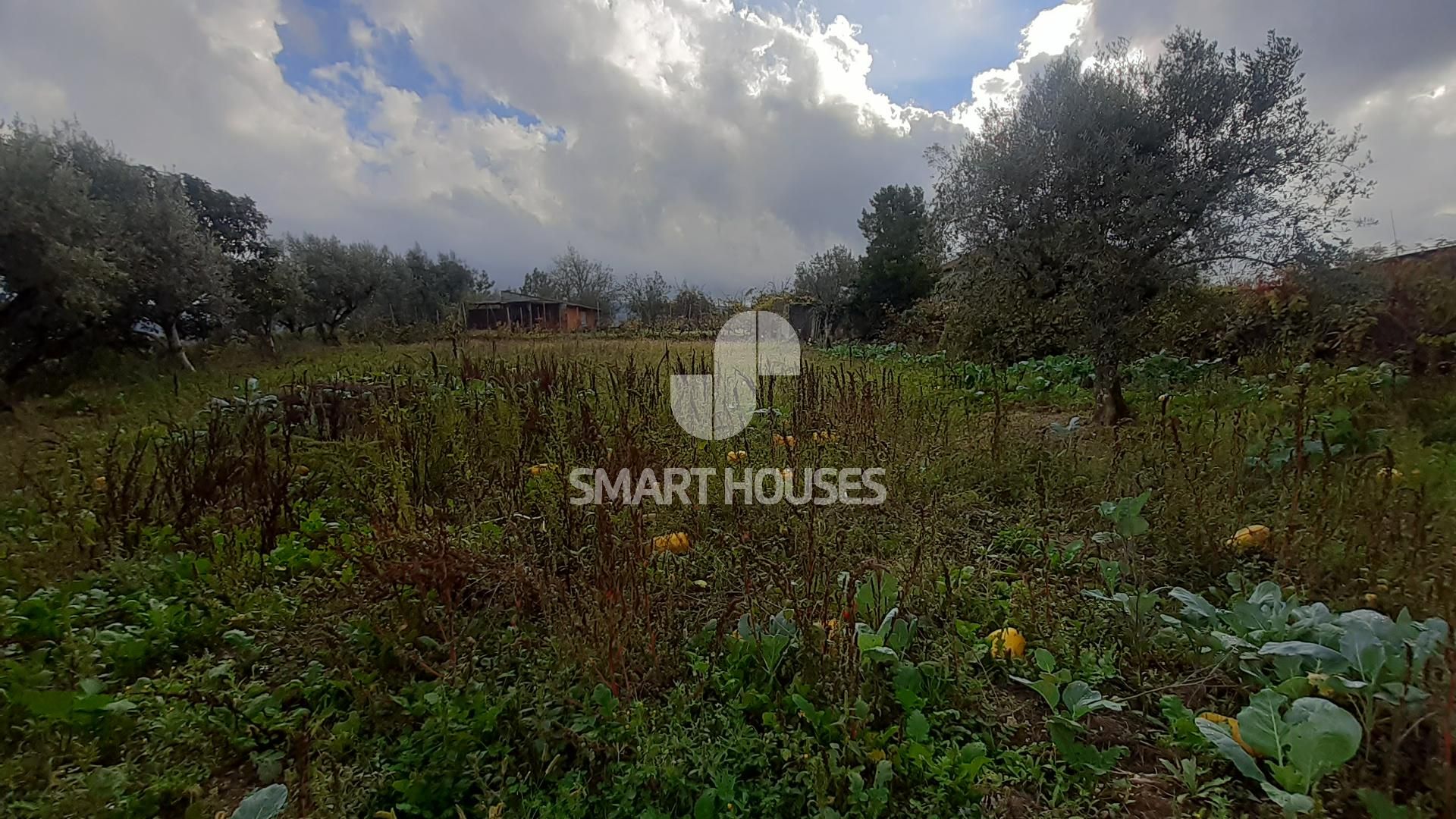 rumah dalam Rossio ao Sul do Tejo, Santarem 10126237