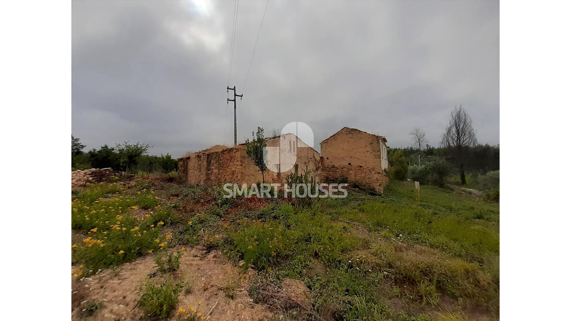 Hus i Rossio ao Sul do Tejo, Santarem 10126251