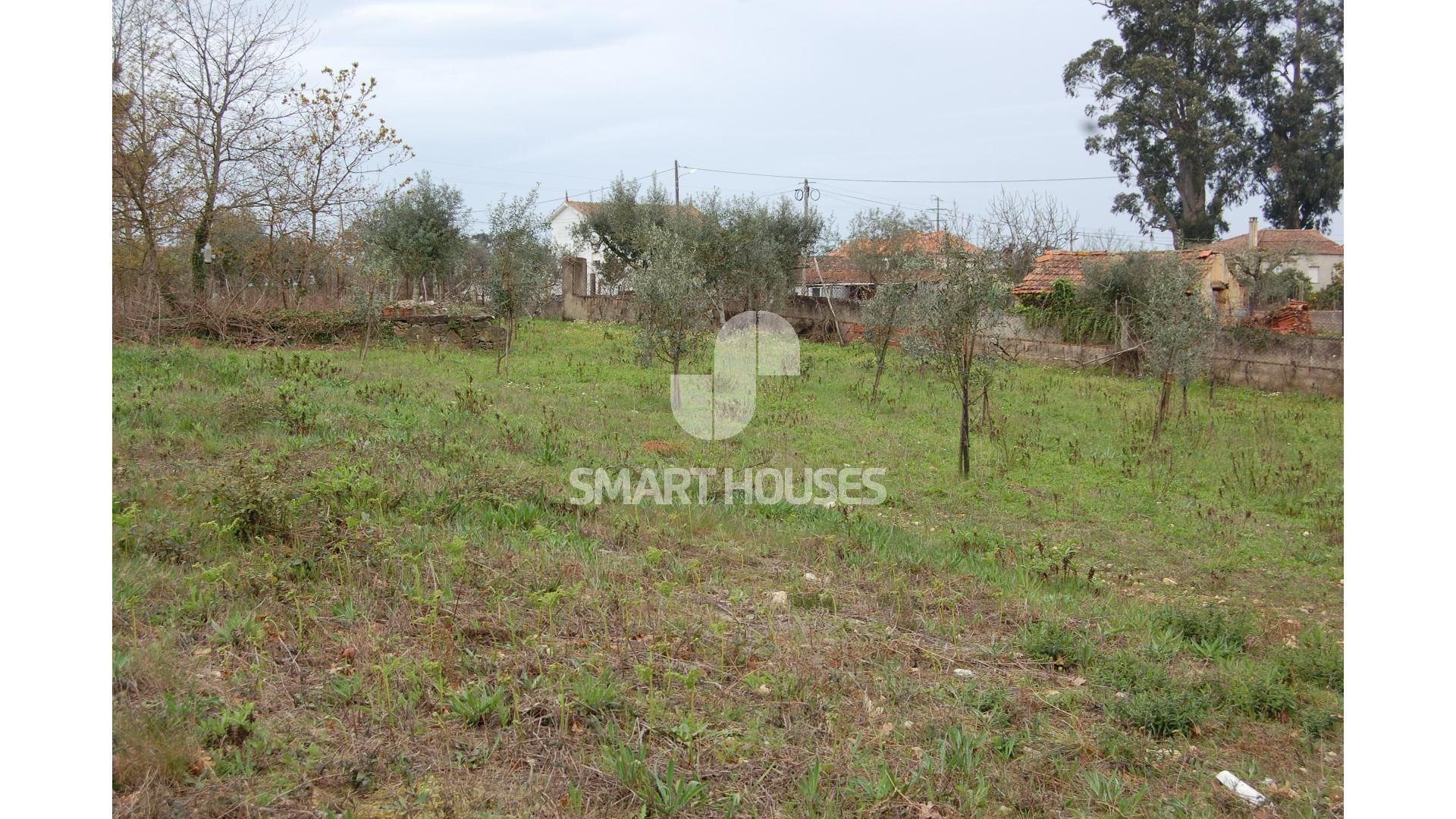 Land im Rossio ao Sul do Tejo, Santarem 10126277