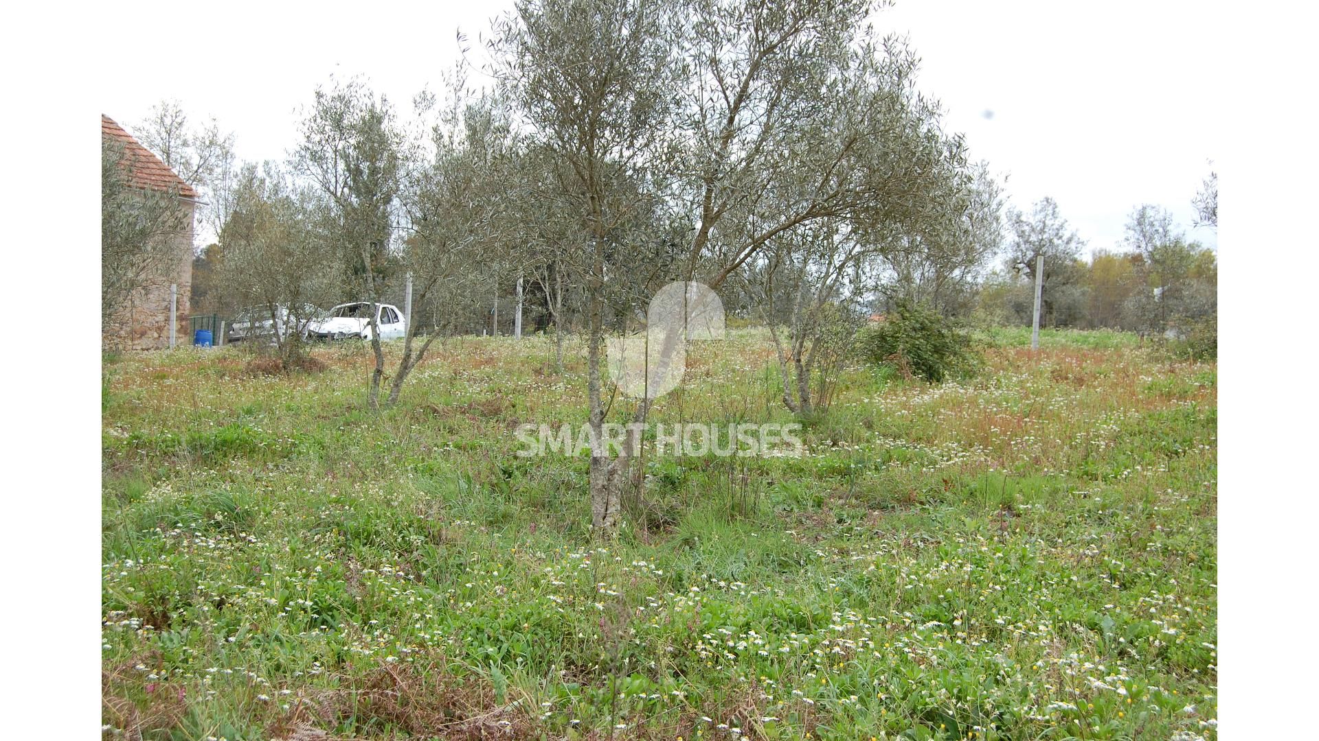 Land in Rossio ao Sul do Tejo, Santarem 10126277