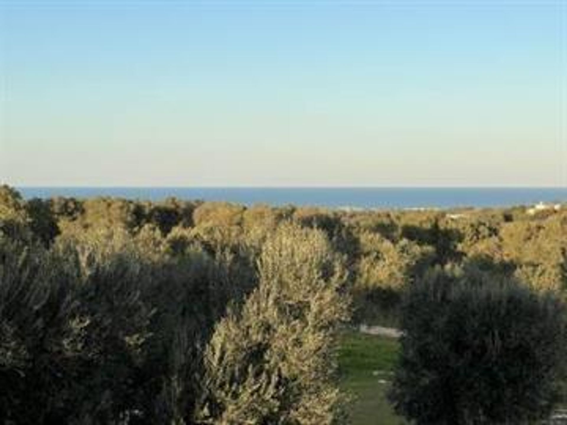 Будинок в Carovigno, Apulia 10126322