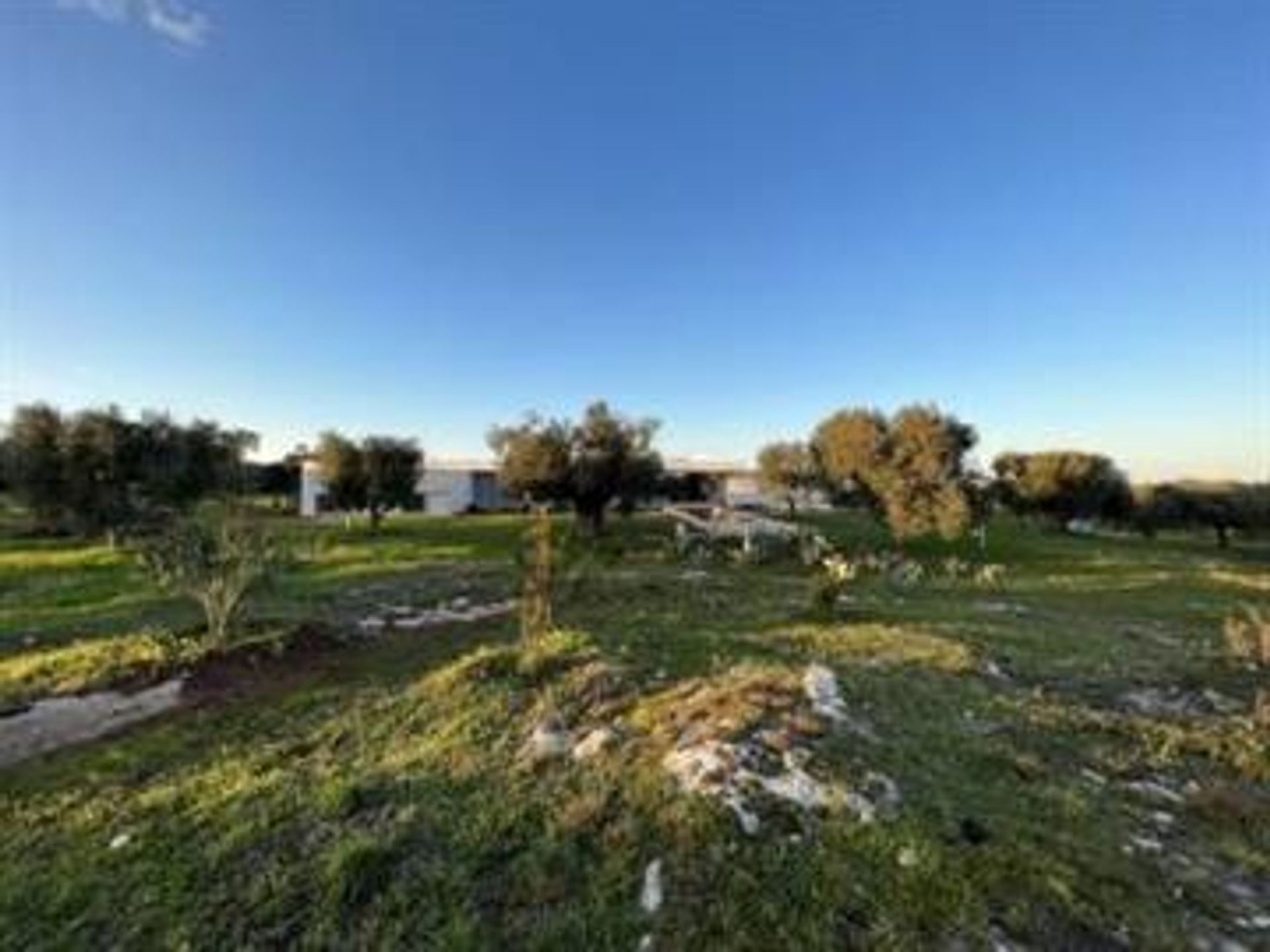 Будинок в Carovigno, Apulia 10126322