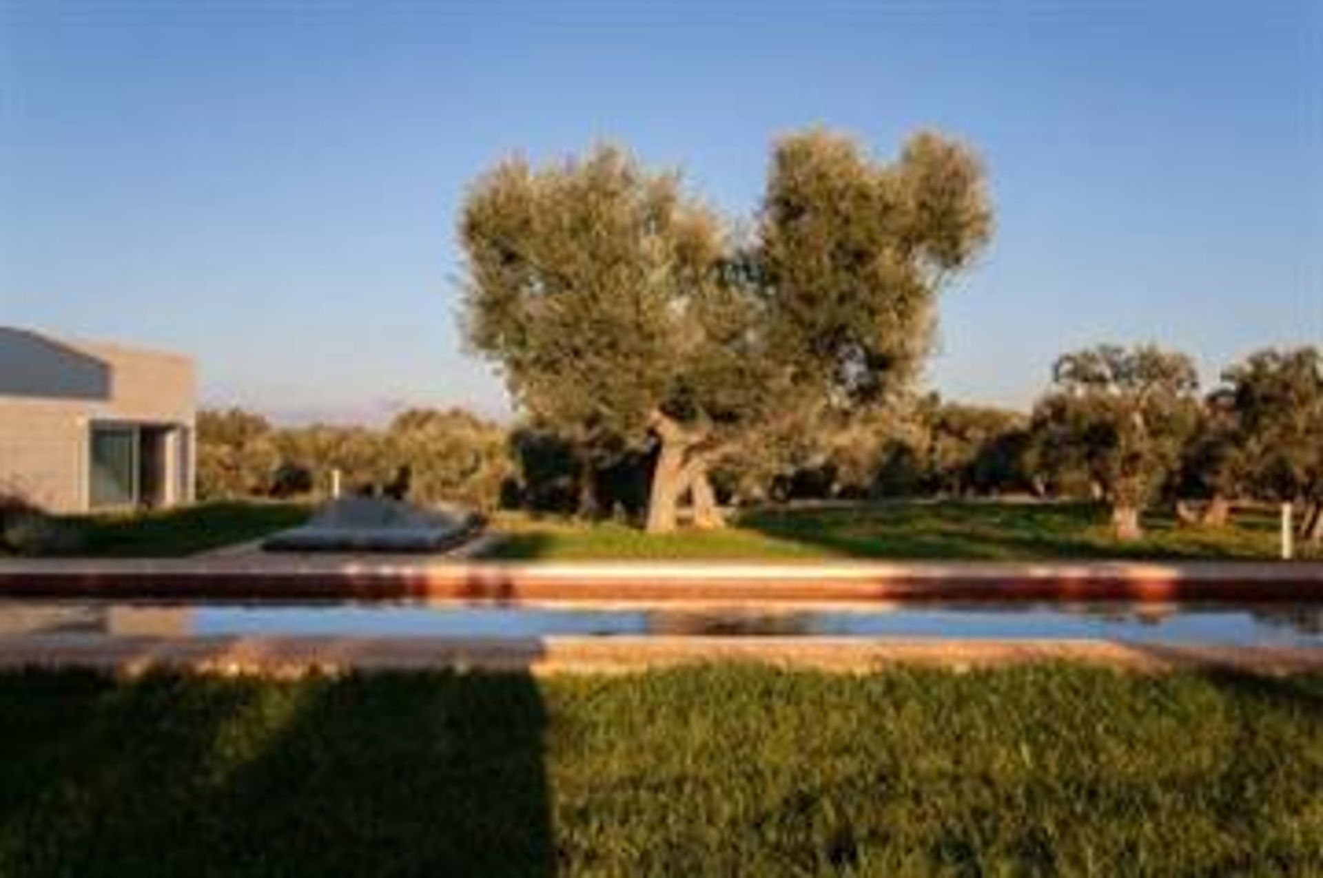 Будинок в Carovigno, Apulia 10126322