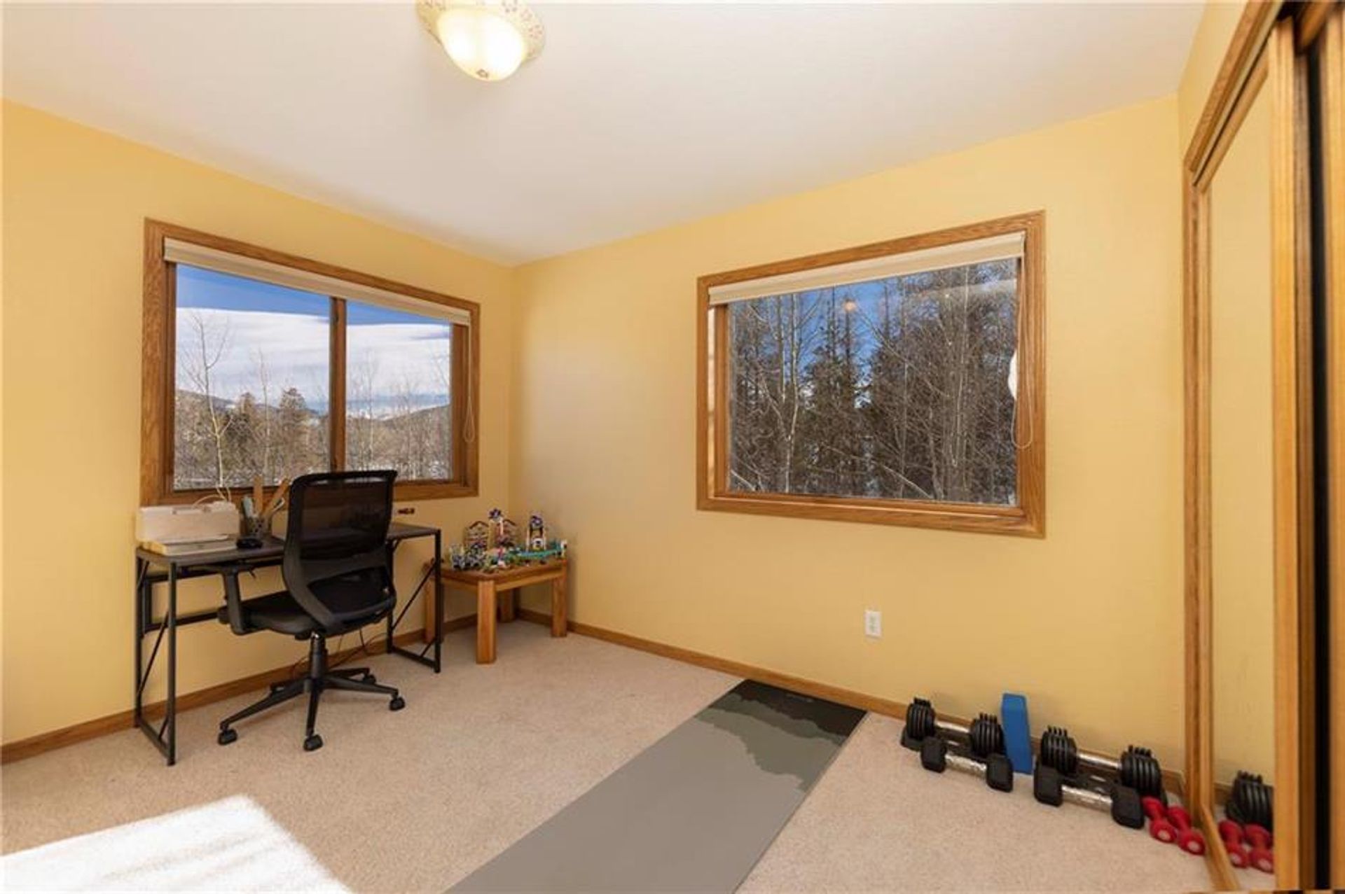 Condominium in Frisco, Colorado 10126509