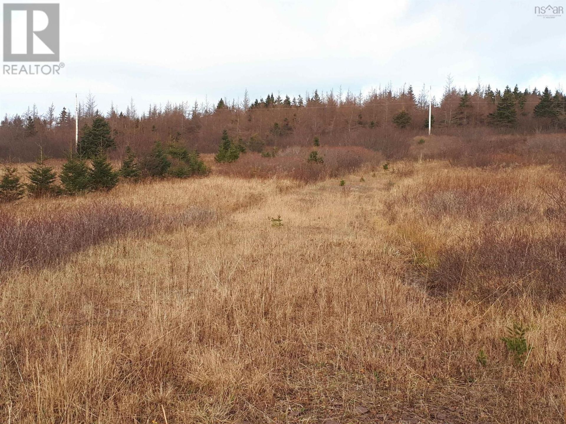 Tanah di Saint Peter's, Nova Scotia 10126886