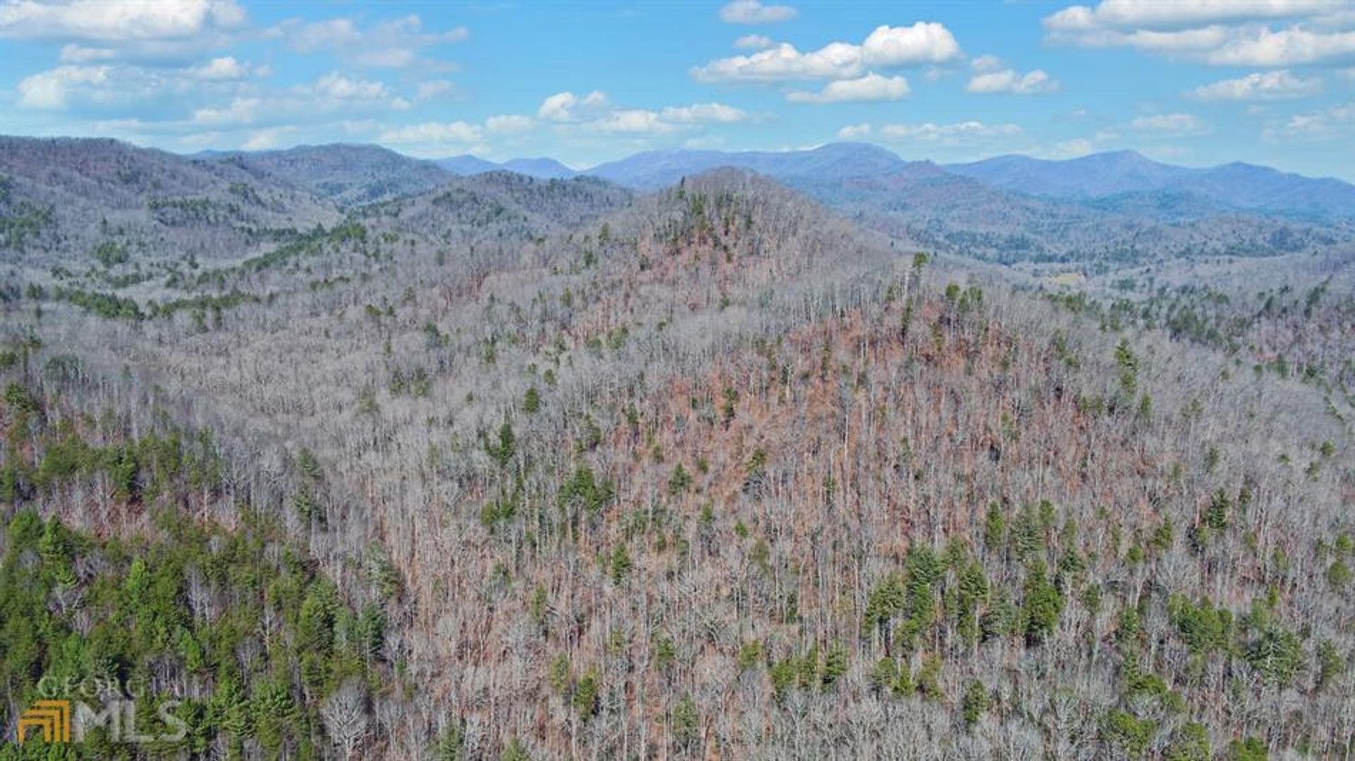 Land in Persimmon, Georgië 10127144