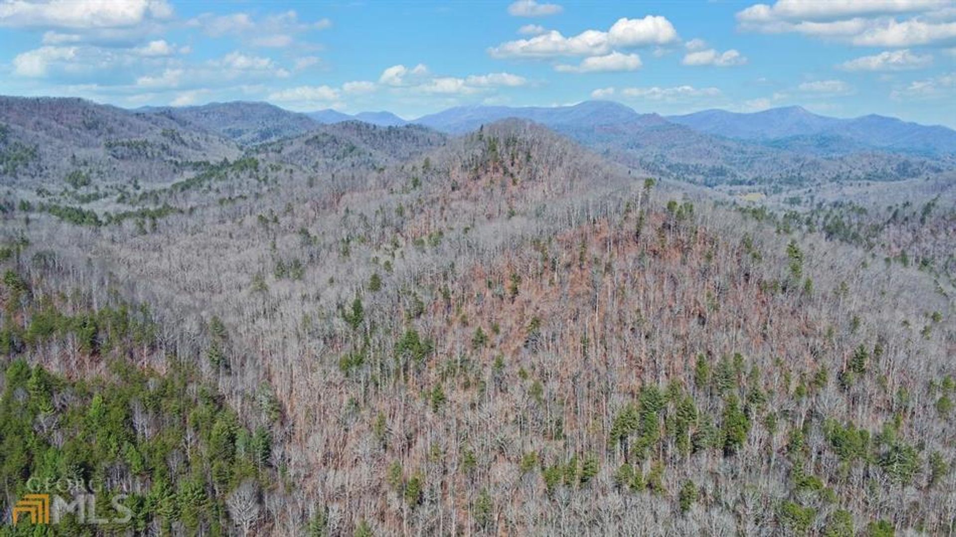 Land in Persimmon, Georgië 10127157