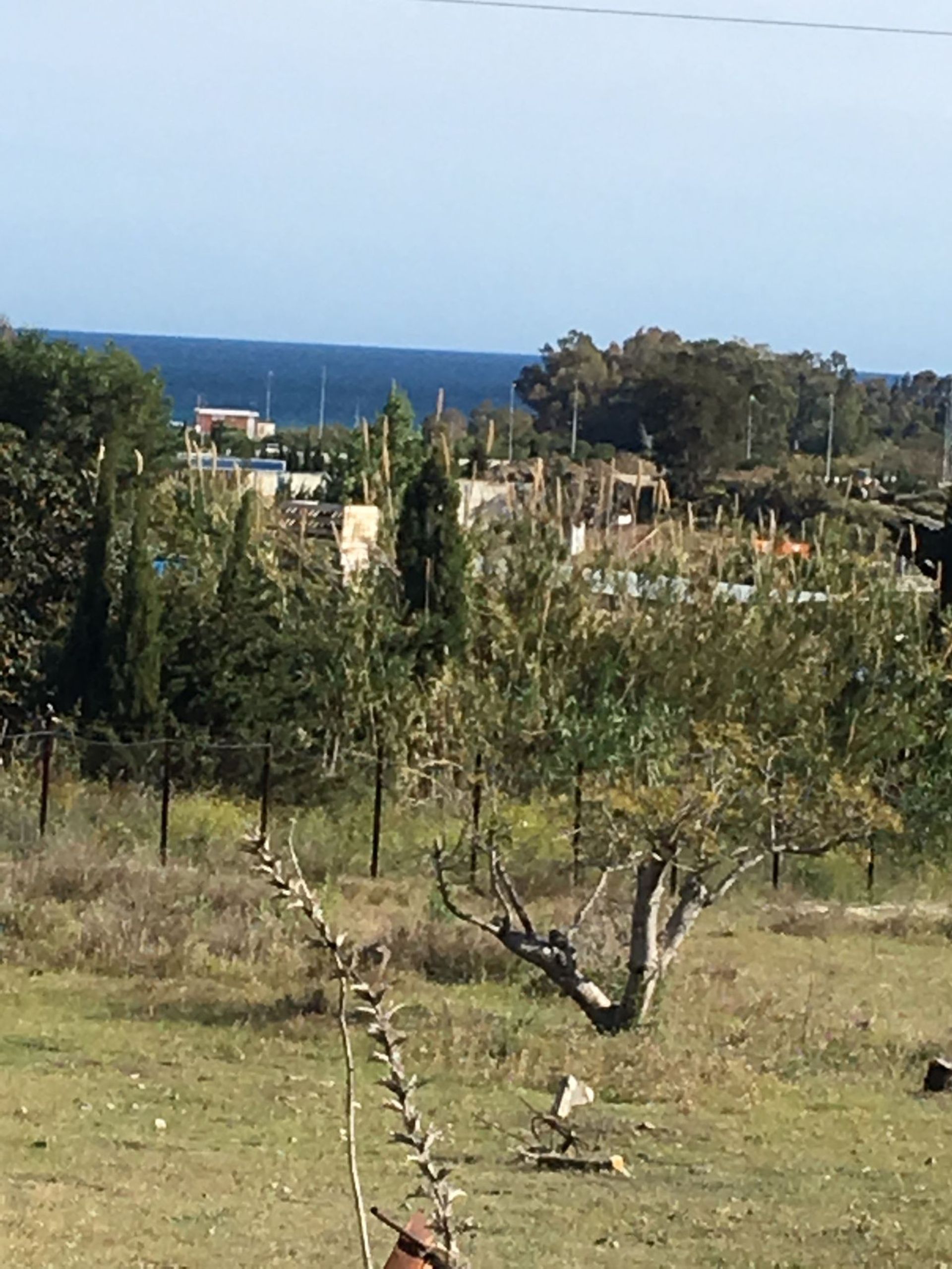 Terra no Cancelada, Andalusia 10127305