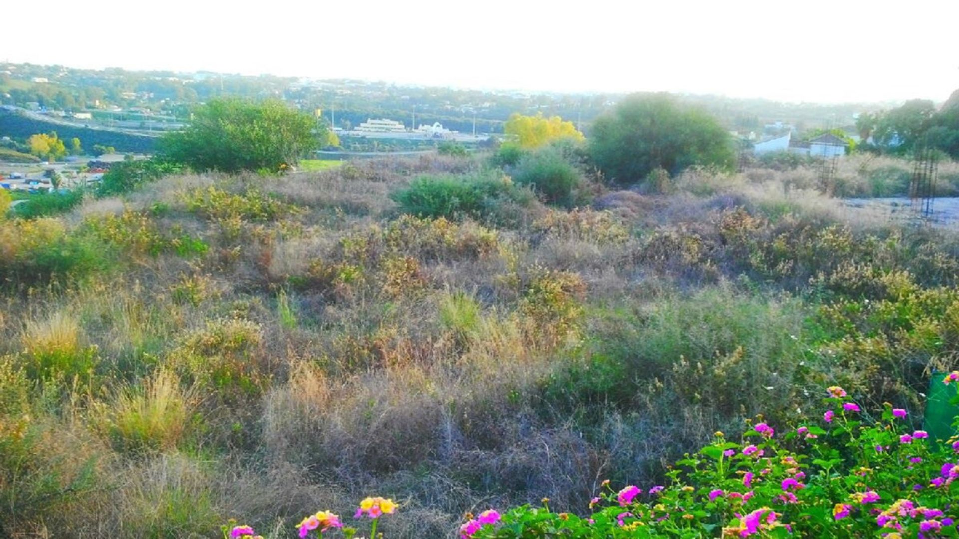 Land in Benahavis, Andalusië 10127455