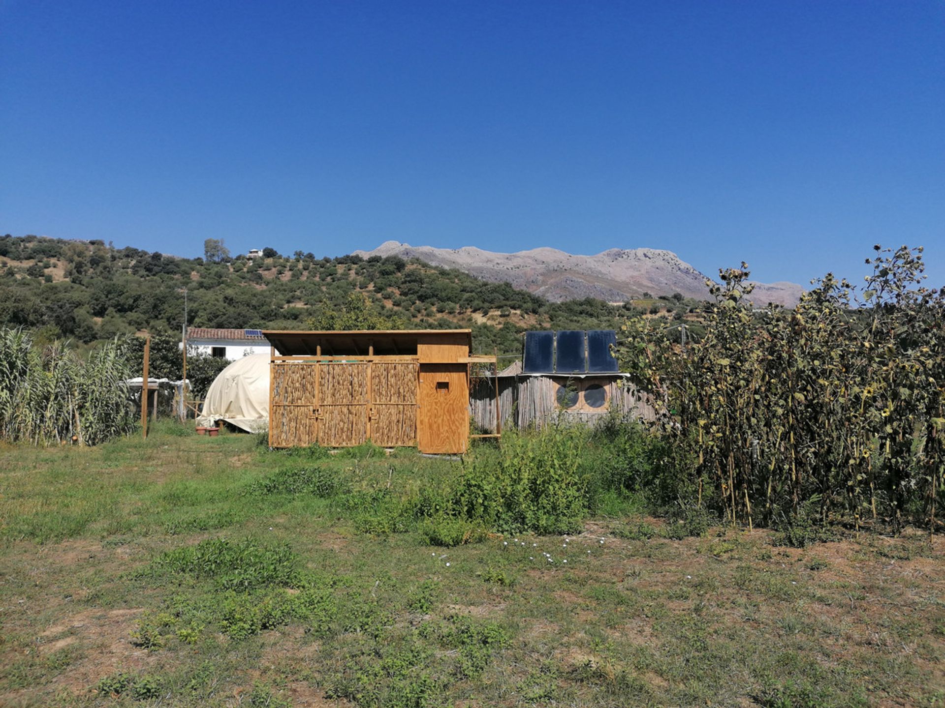 rumah dalam Cortes de la Frontera, Andalusia 10127989