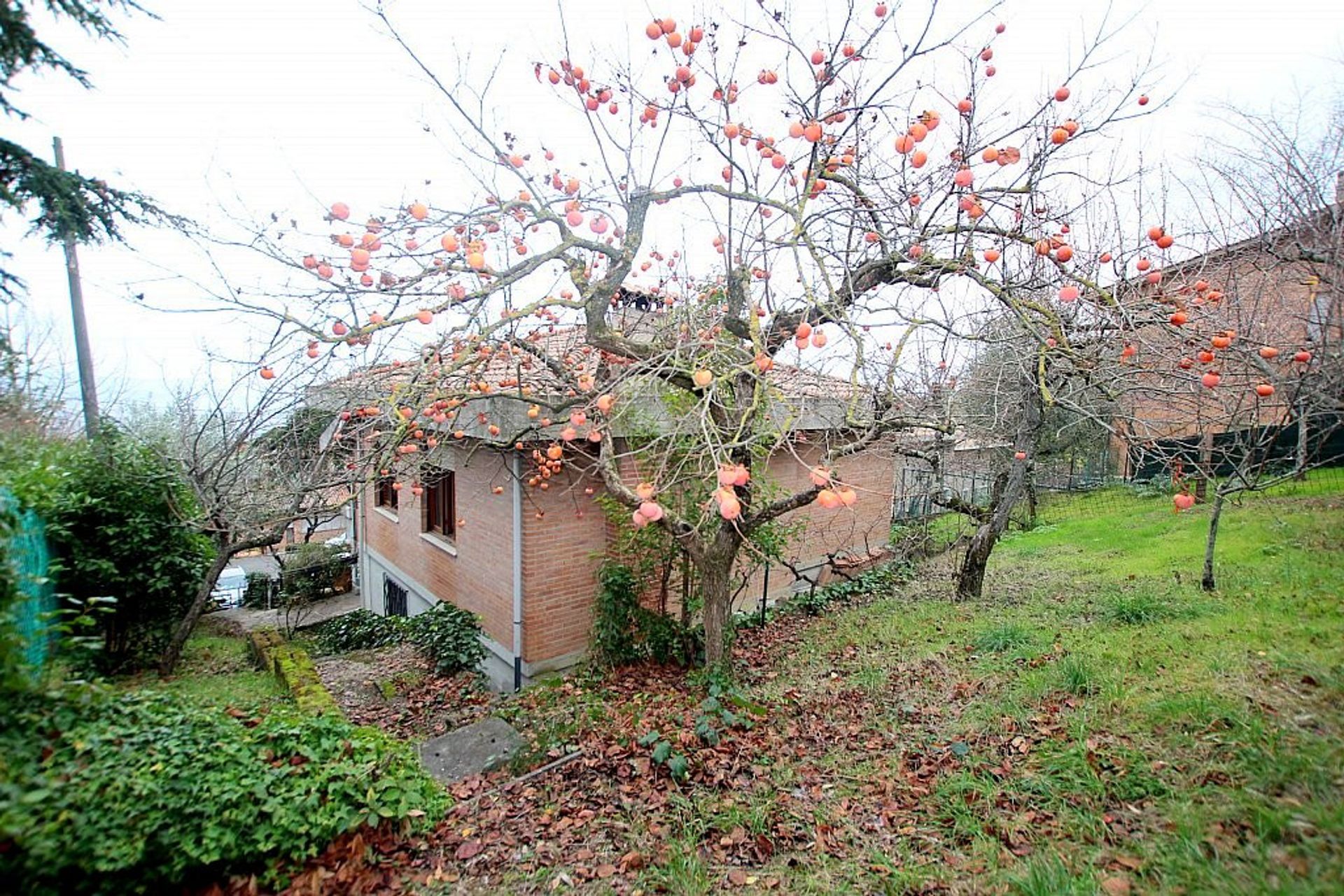 Huis in Volterra, Toscana 10128291