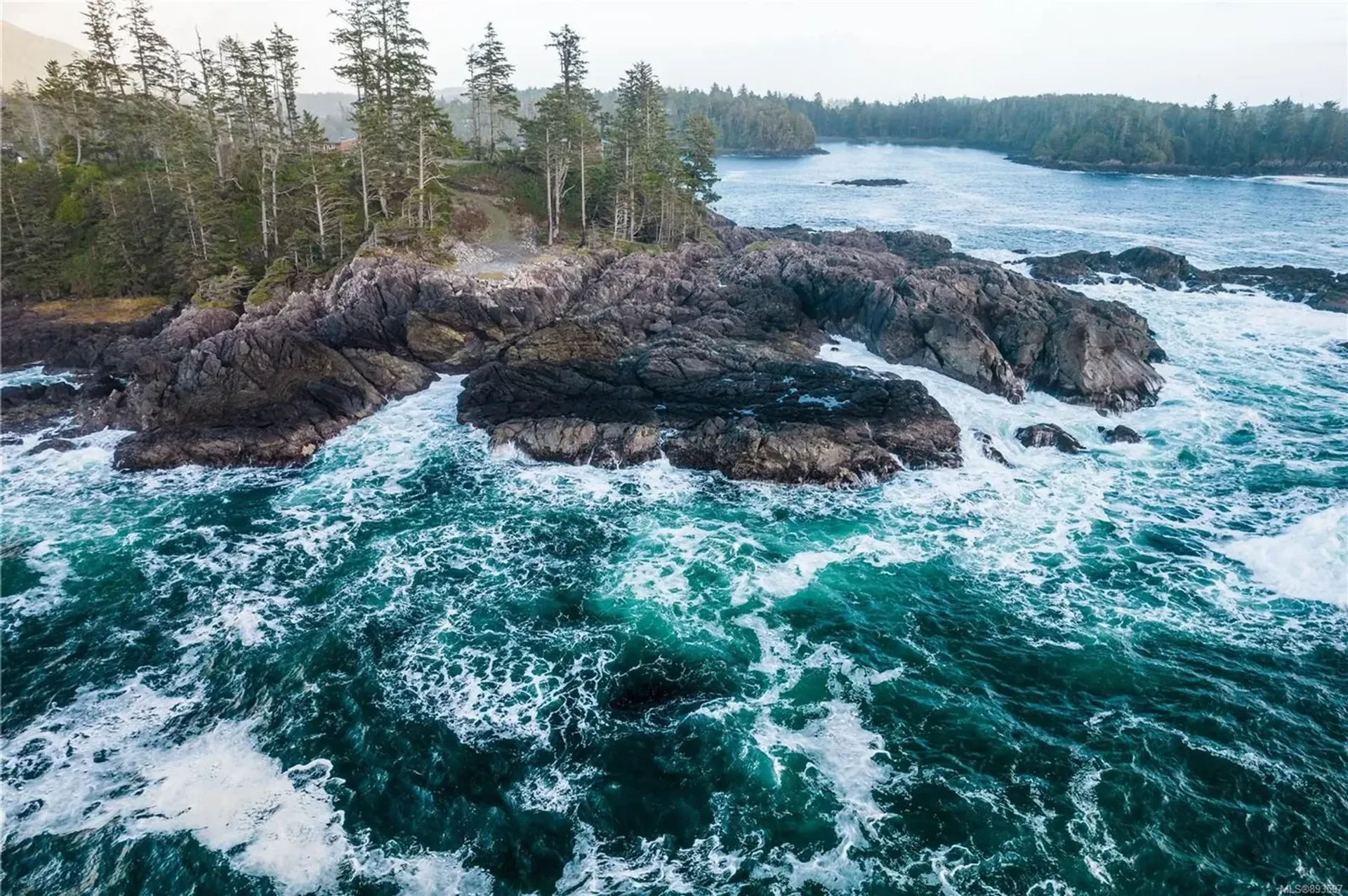 Maa sisään Ucluelet, British Columbia 10128571