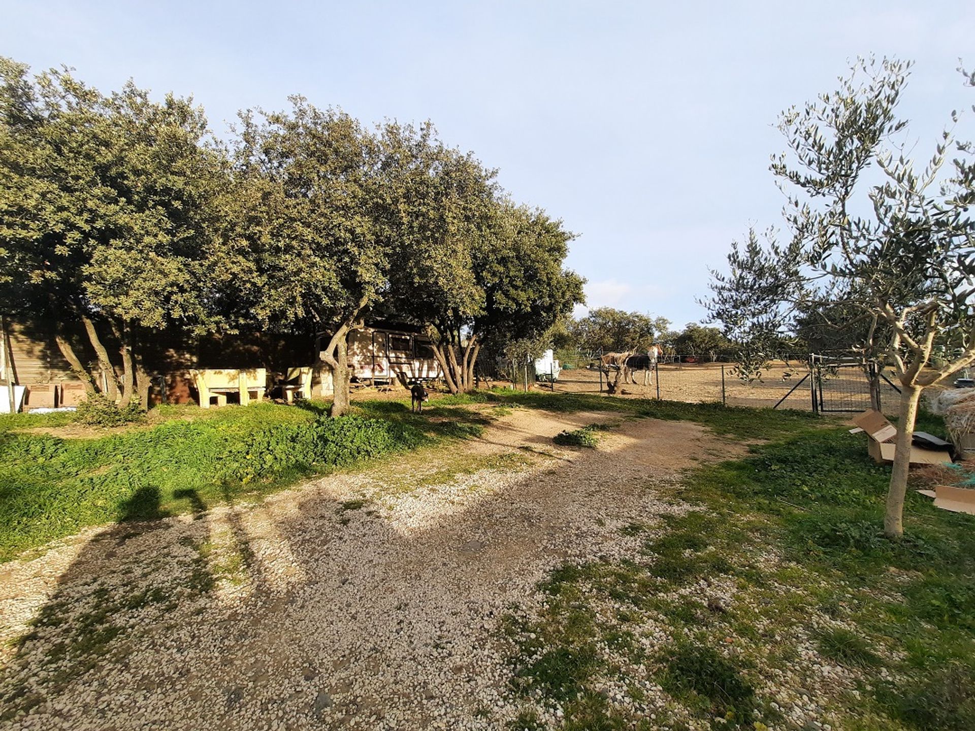 House in Magalas, Occitanie 10128641