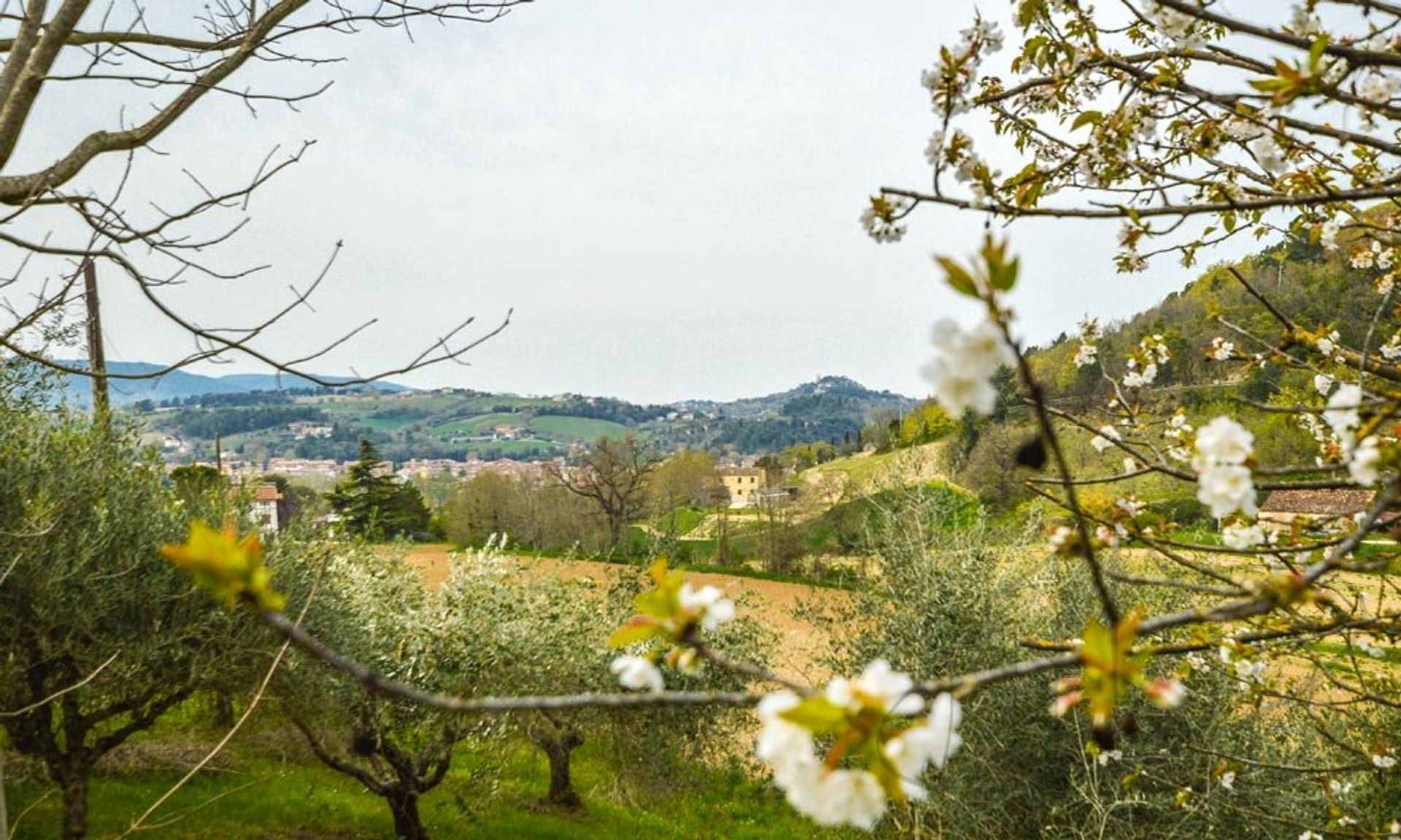 Haus im Pollenza, Marche 10128919