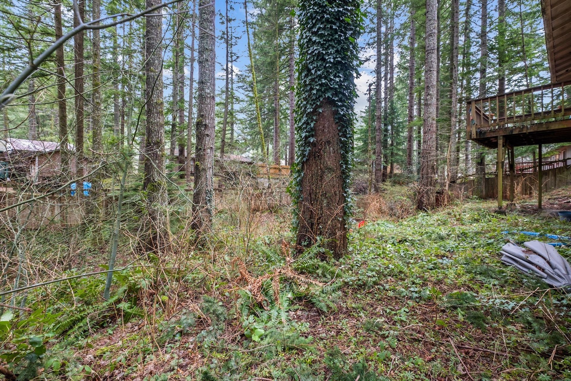 casa en North Bend, Washington 10128945